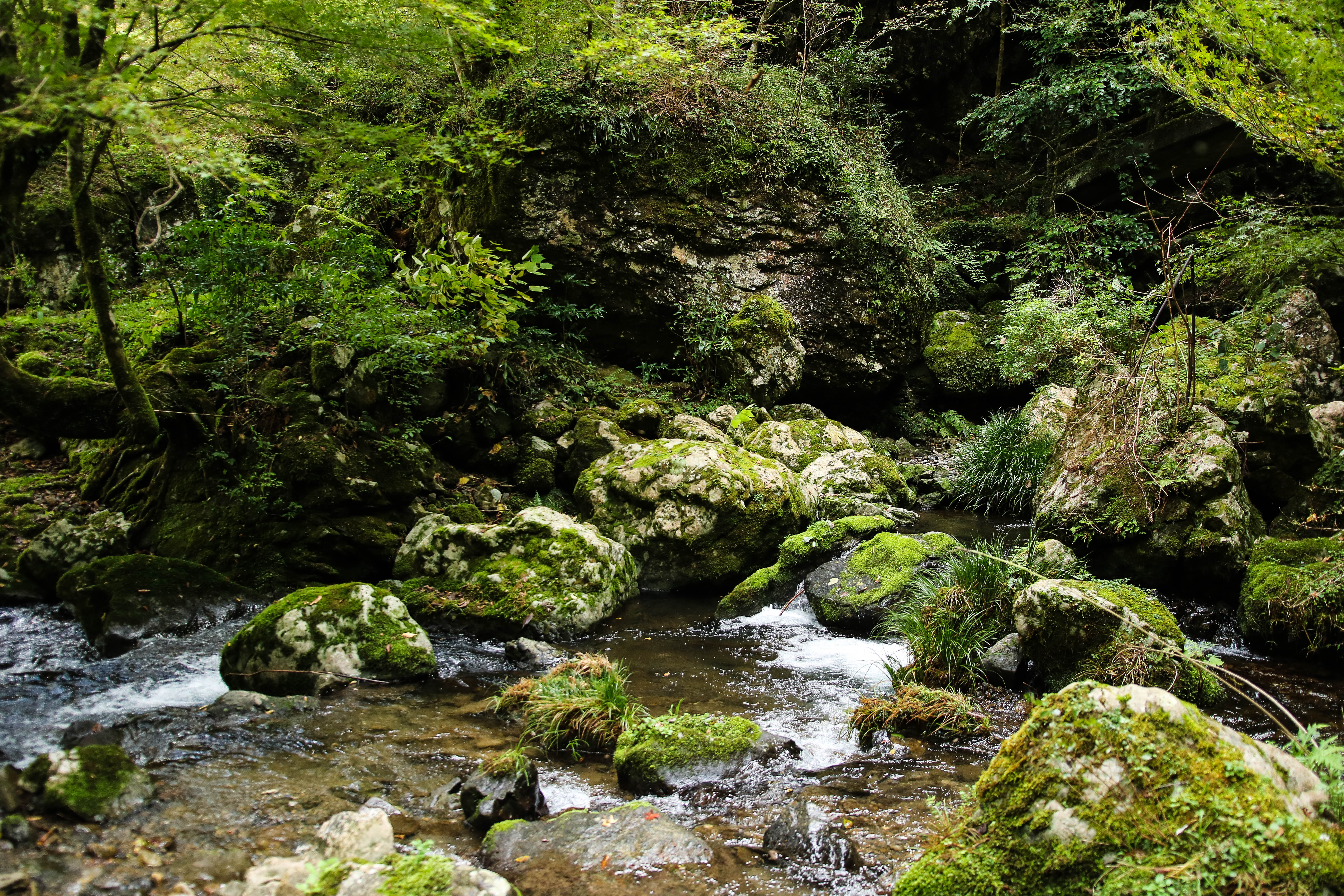 【高知の絶景・滝巡り】長沢の滝