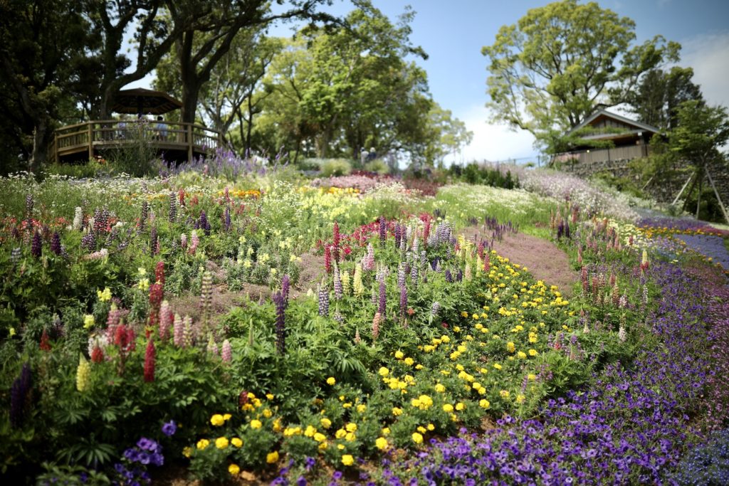 こんこん山広場｜色彩あふれる花々で彩る「牧野植物園」の憩いの広場。