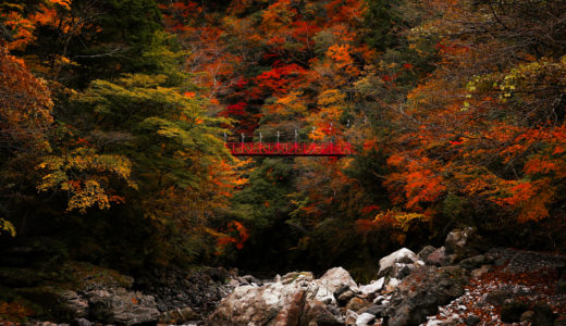 べふ峡｜高知有数の紅葉スポット！山一面が紅葉に染まる秋の美しさは格別。