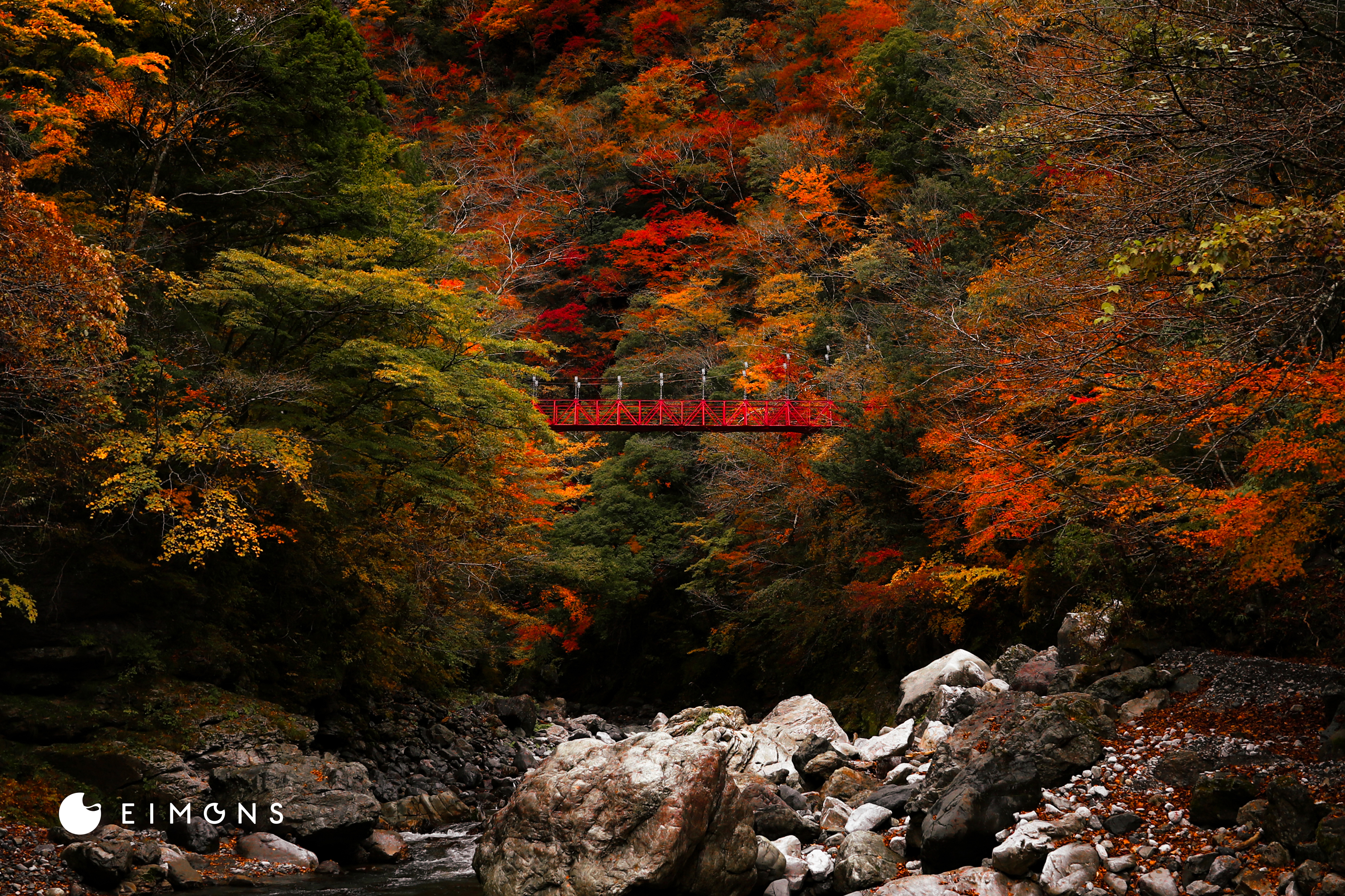 べふ峡｜高知有数の紅葉スポット！山一面が紅葉に染まる秋の美しさは格別。