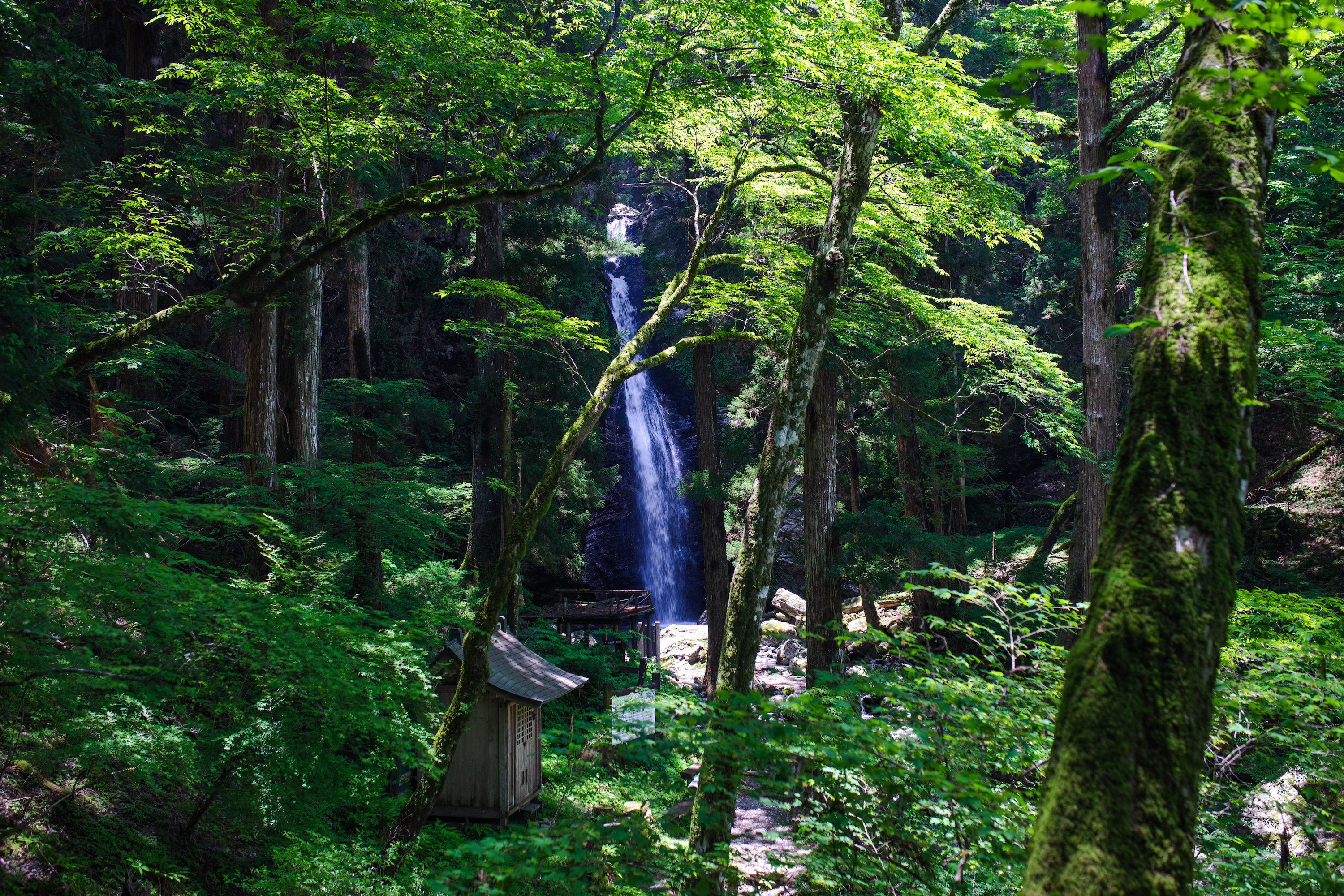 龍王の滝（Ryuonotaki）｜神秘の滝！日本の滝百選に選ばれた大豊町の名爆