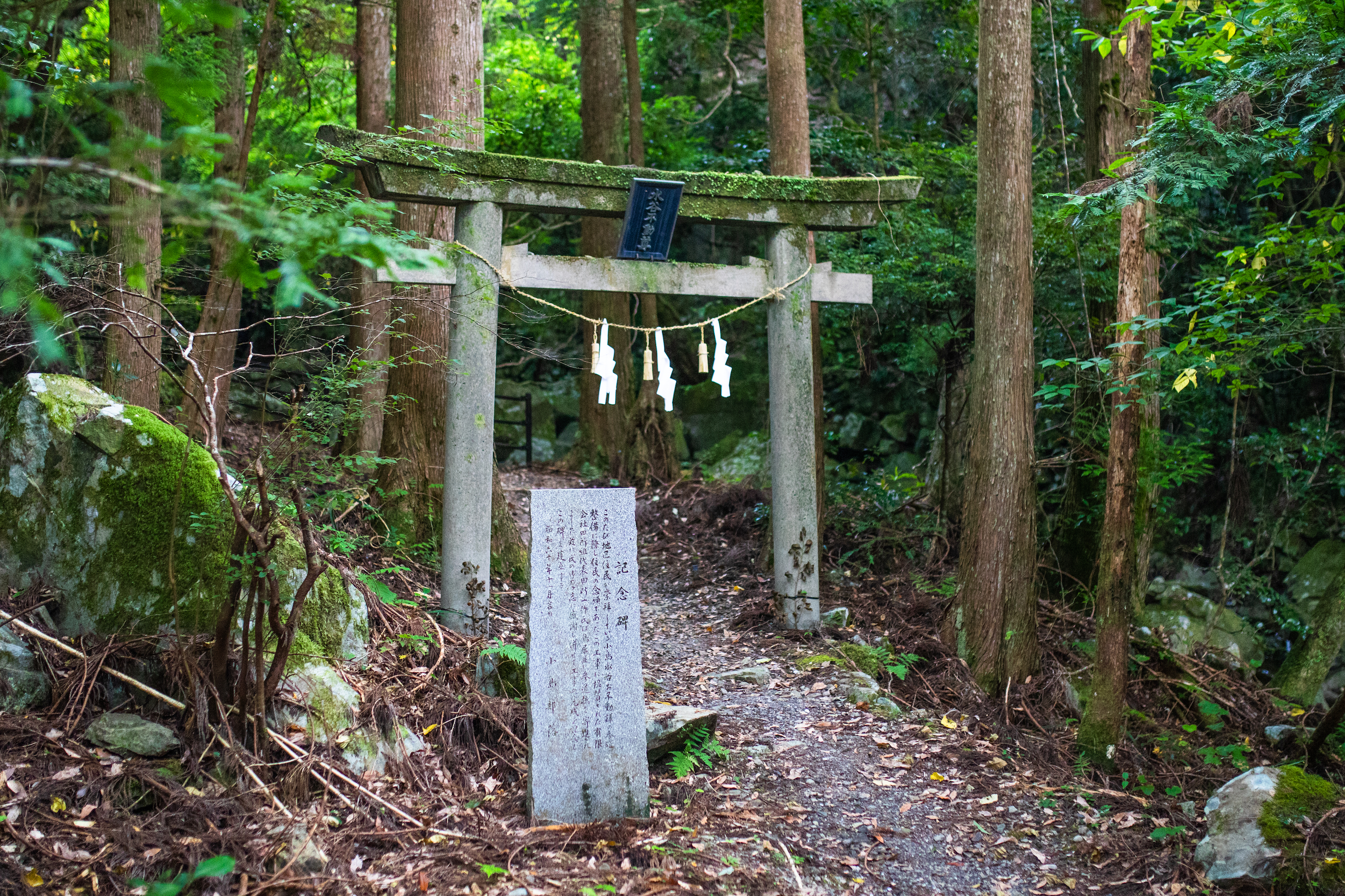 不動の滝（Fudounotaki）｜3つの滝からなる北川村の名爆