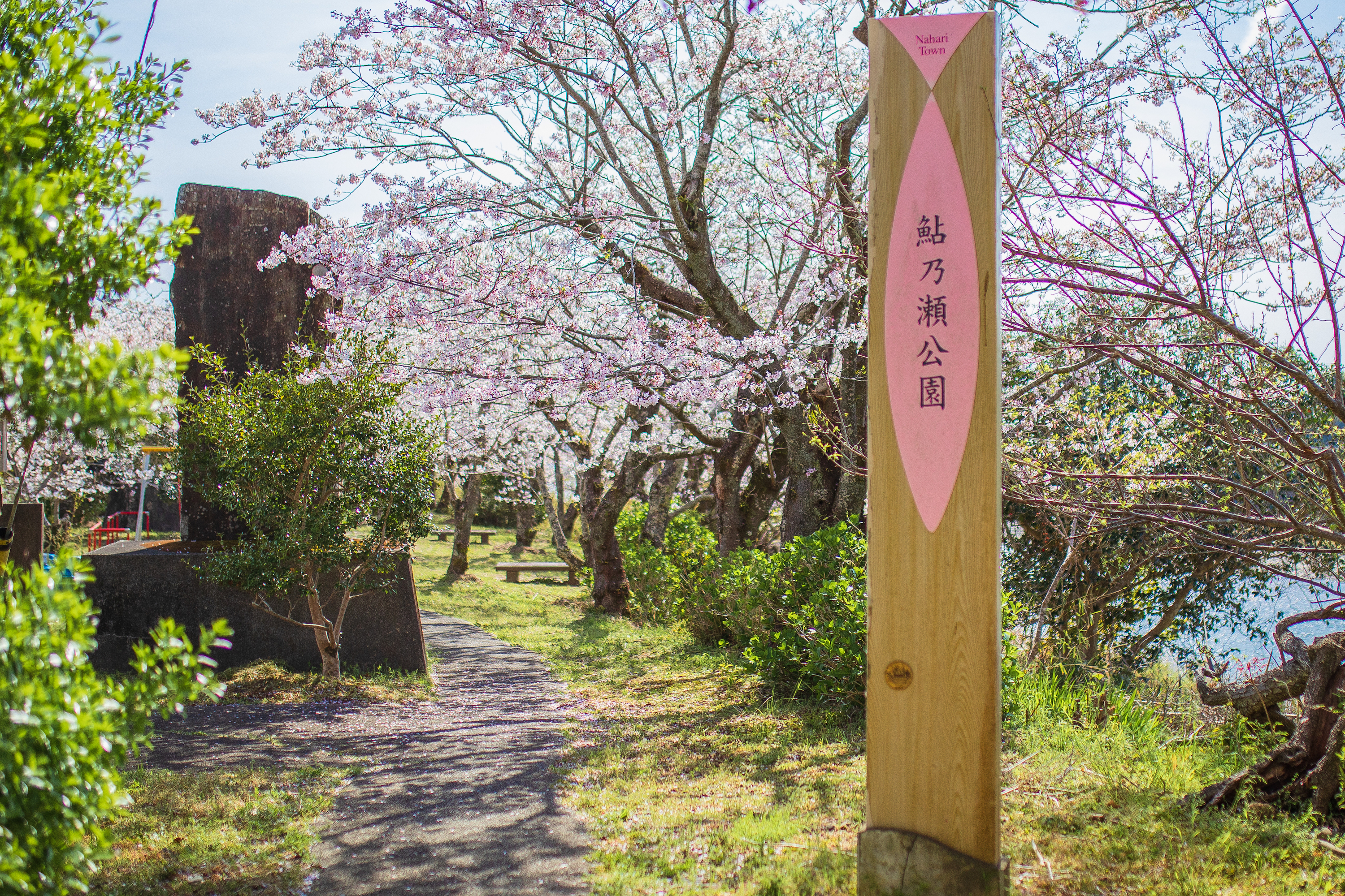 鮎乃瀬公園｜小道沿いの桜並木が美しい。奈半利町の穴場スポット