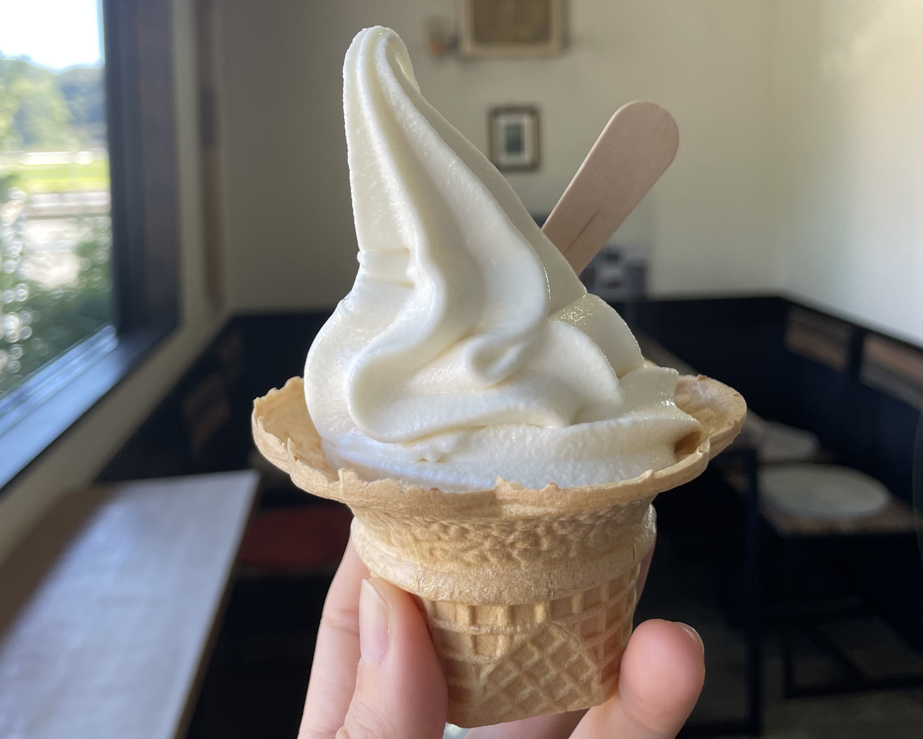 アイスクリーム アイスクリーム2種詰め合わせ(チョコレート5・抹茶4)｜水・焼酎の財宝