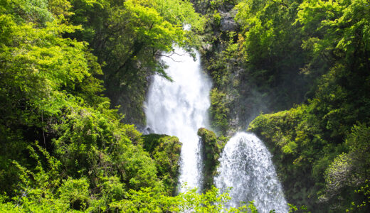 樽の滝｜驚きの自然美！昔のままの渓谷林が残る高知市の秘境「樽の滝」へ