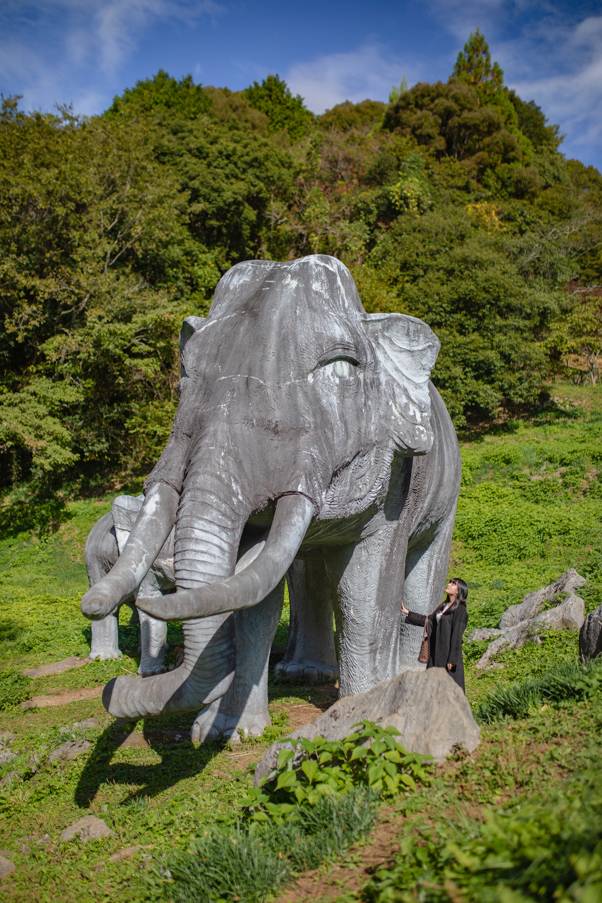 佐川ナウマンカルスト｜隠れた名所！雄大なカルストと巨大ナウマン象