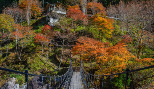 瀬戸川渓谷が最も美しい秋！原生林に囲まれた美しい紅葉を満喫