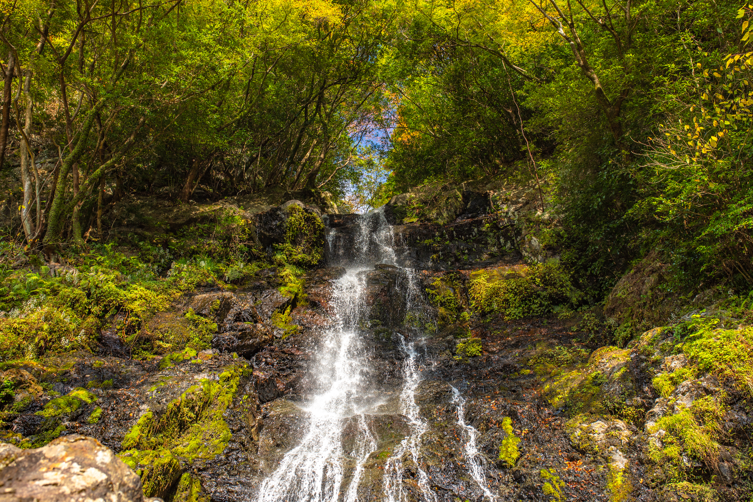 秋深まる山姥の滝！高知市内からほど近い紅葉スポット