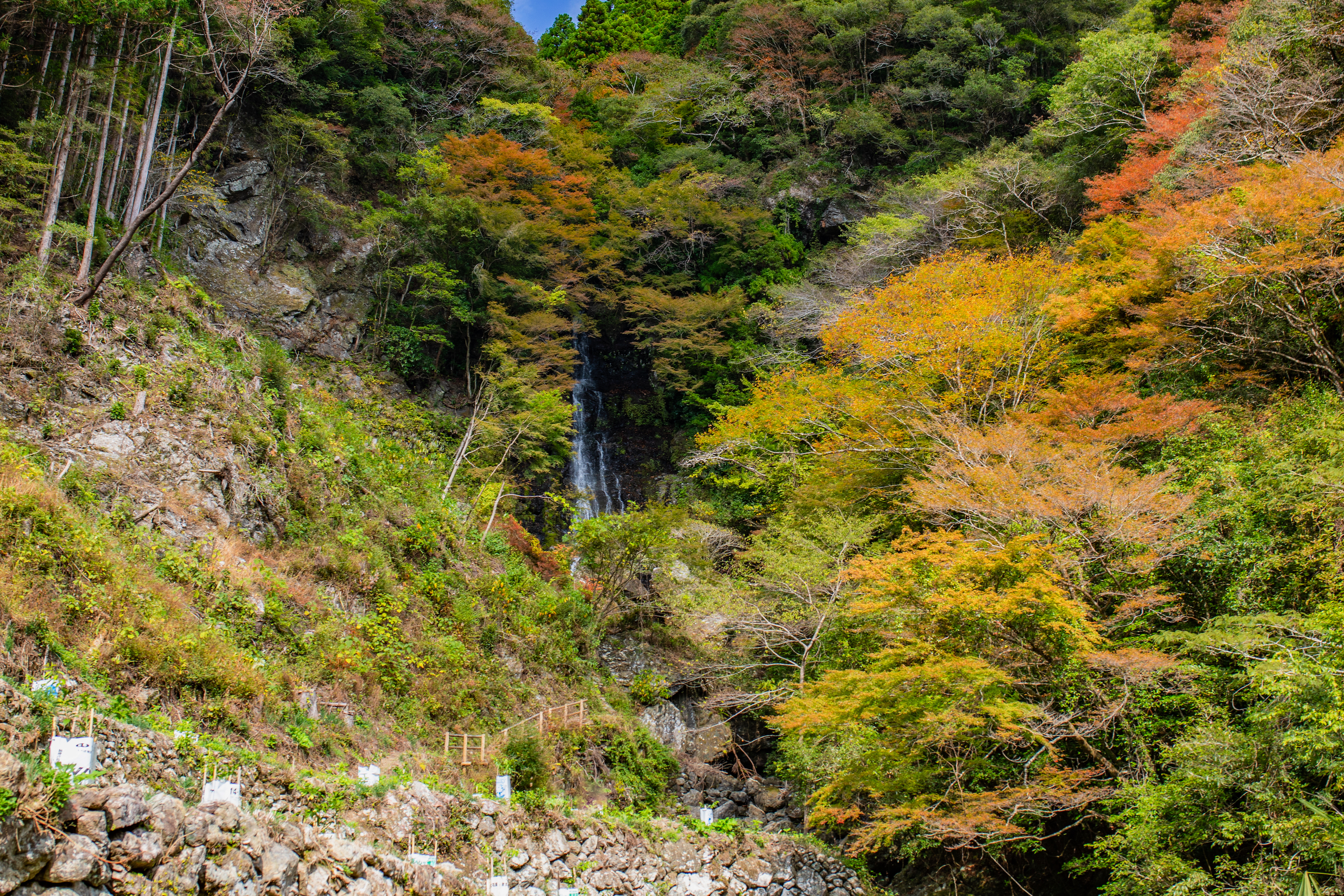 秋深まる山姥の滝！高知市内からほど近い紅葉スポット
