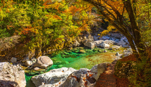 安居渓谷の秋！仁淀ブルーと紅葉が織りなす詩的風景