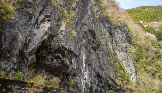圧巻の石灰岩絶壁！大穴峡は四季折々に楽しめる土佐山の穴場スポット