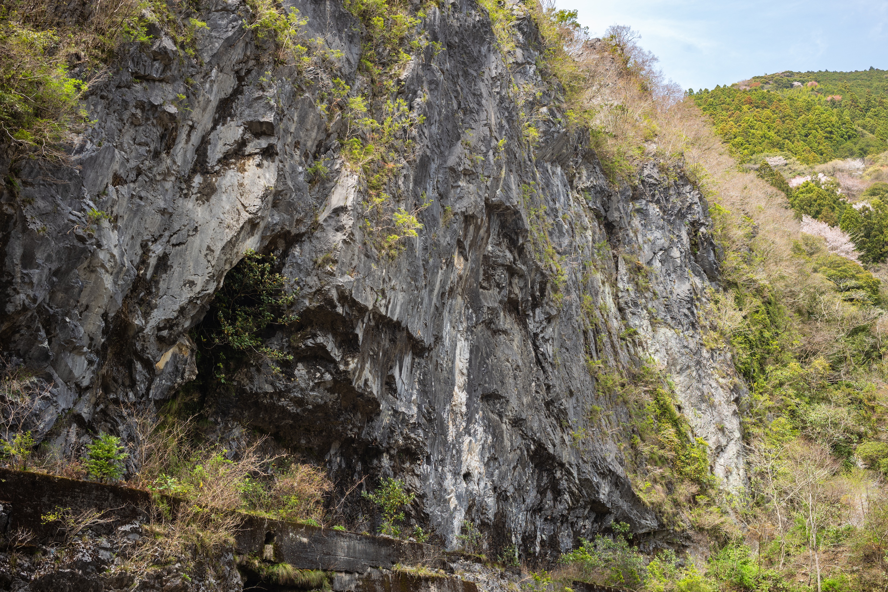 圧巻の絶壁！大穴峡は四季折々に楽しめる土佐山の穴場スポット