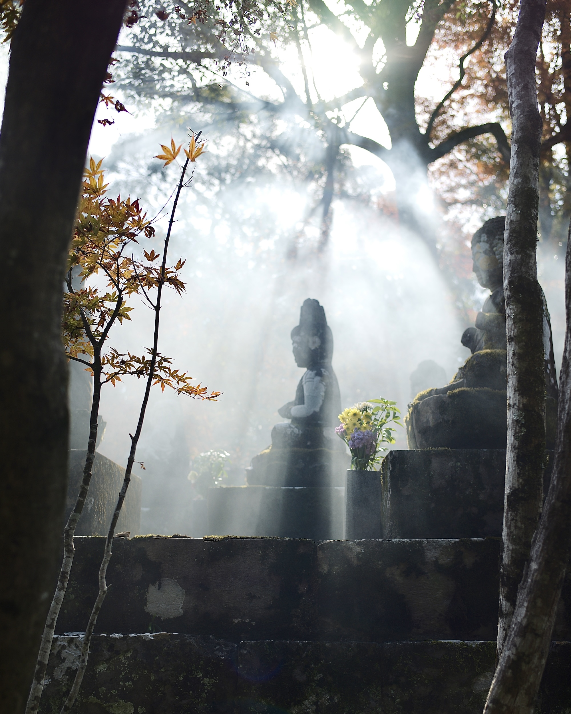 五台山 竹林寺|紅葉の絶景に包まれる秋のひととき