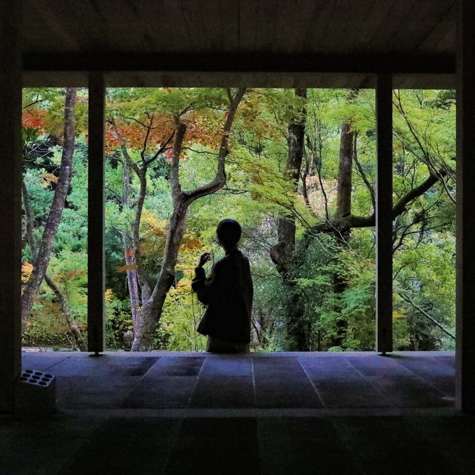 五台山 竹林寺｜紅葉の絶景に包まれる秋のひととき