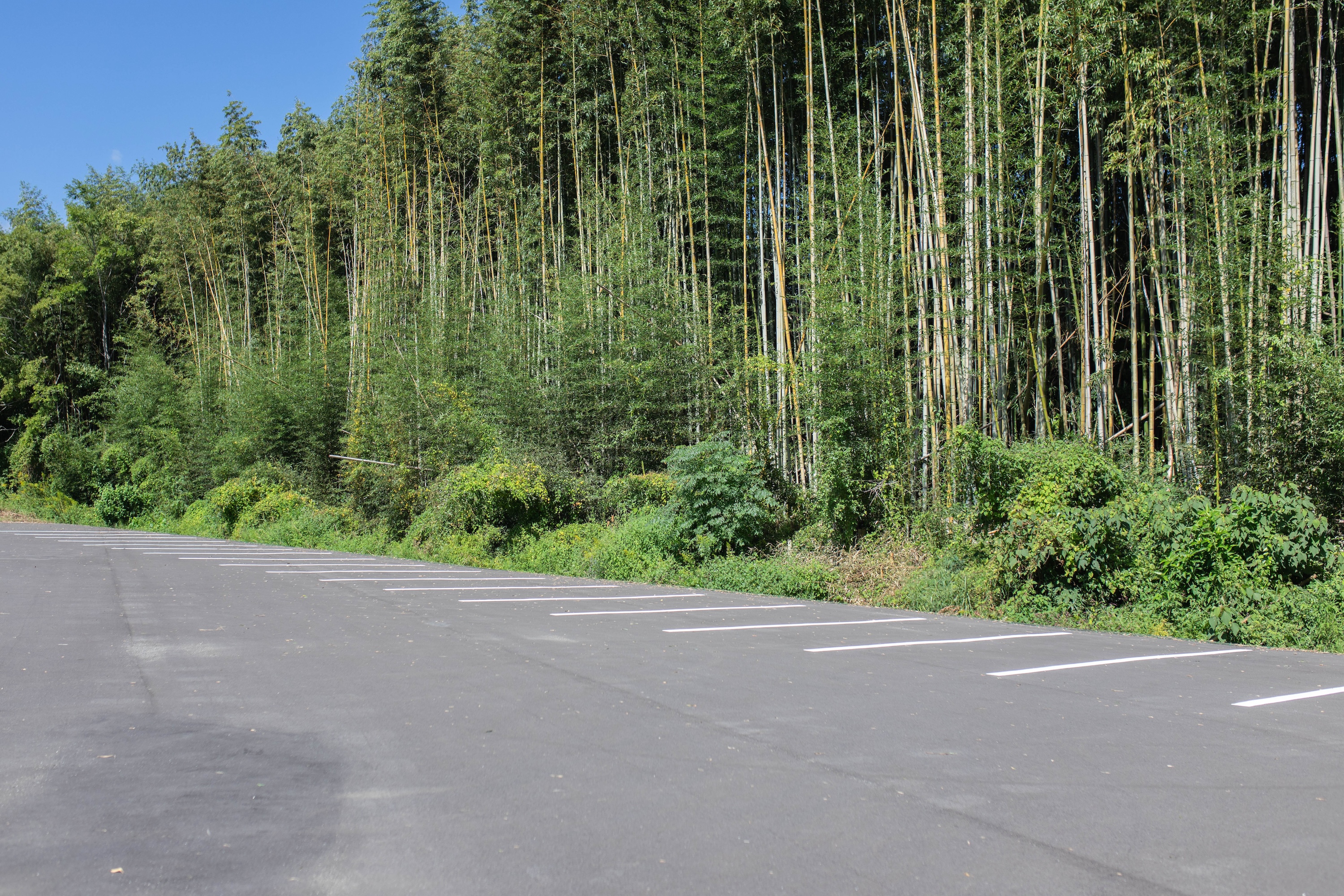 江尻地区親水公園|日高村の新スポット!緑と水に囲まれた癒しの公園