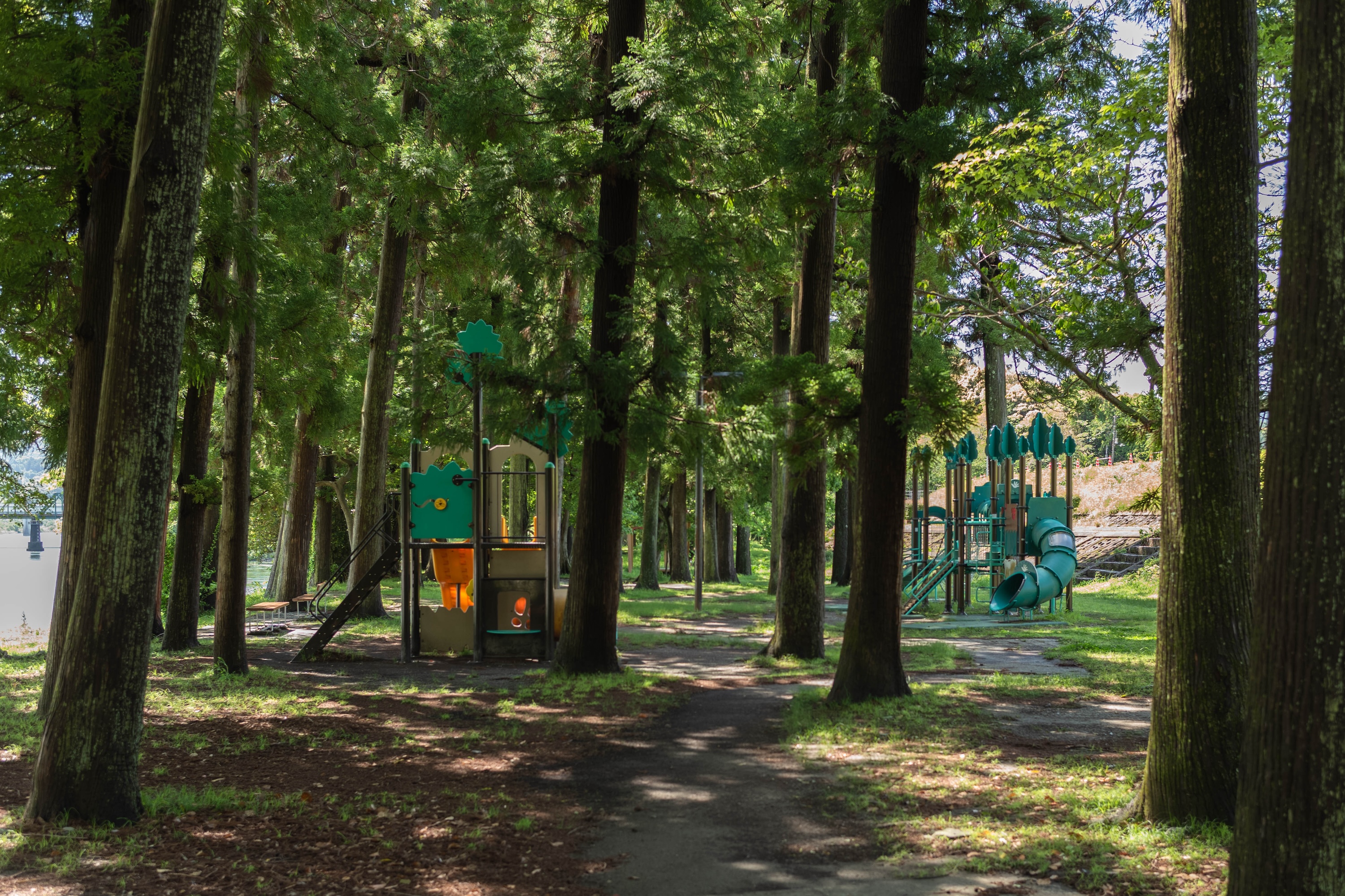 波川公園｜仁淀川で自然を満喫！アクセス抜群の癒しスポット