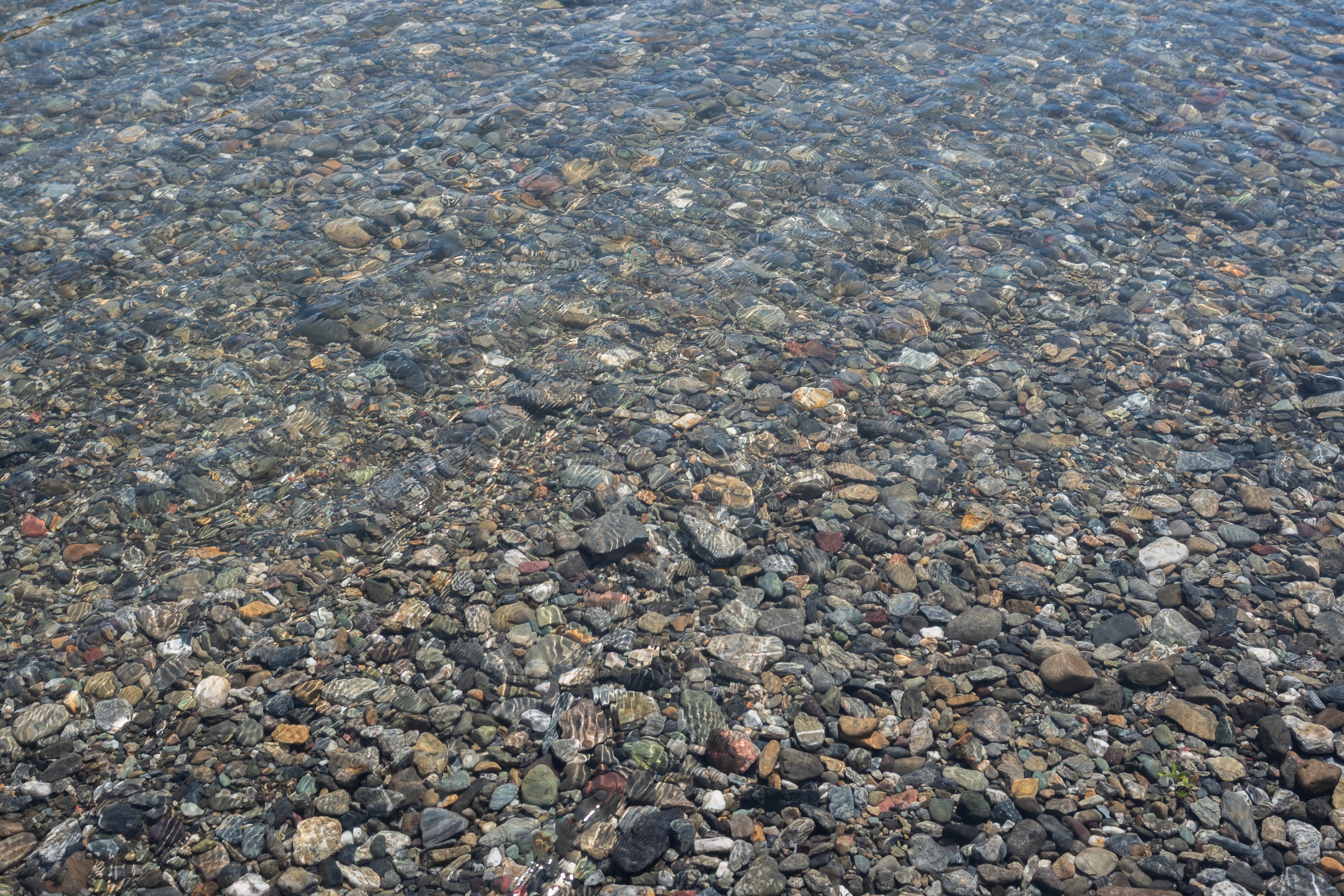 波川公園｜仁淀川で自然を満喫！アクセス抜群の癒しスポット