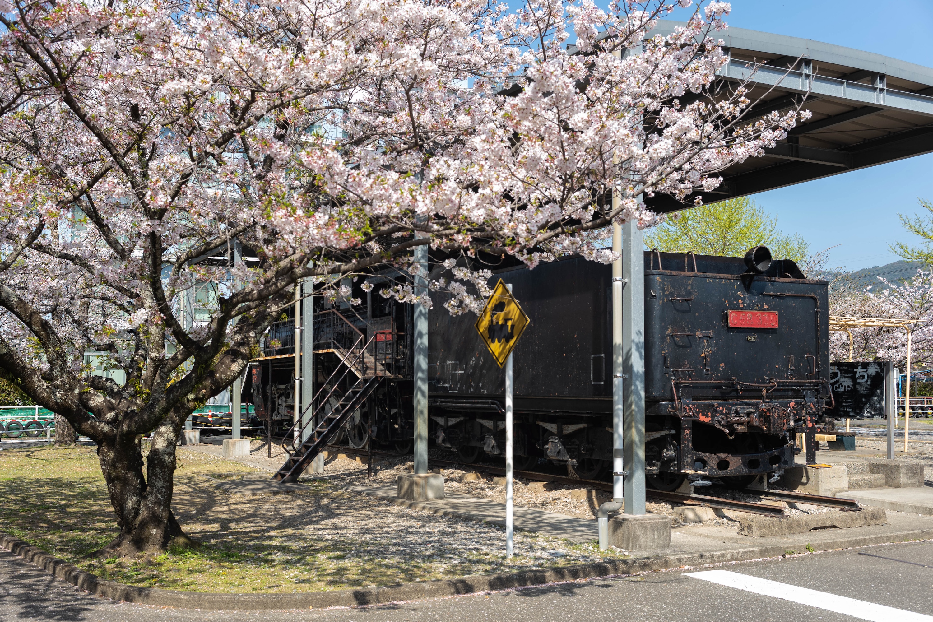ゴーカートにSL、桜並木も!比島交通公園の魅力をまるっと紹介