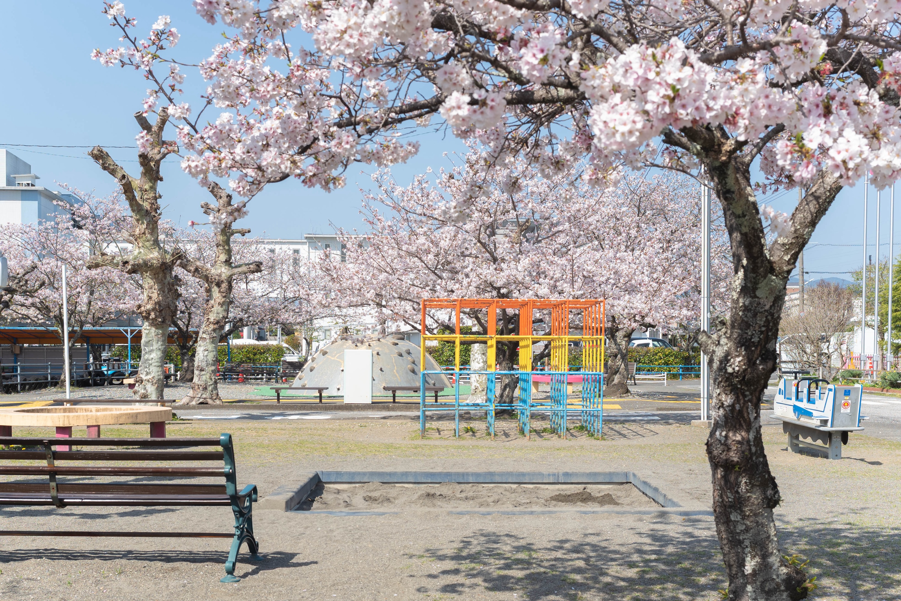 ゴーカートにSL、桜並木も!比島交通公園の魅力をまるっと紹介