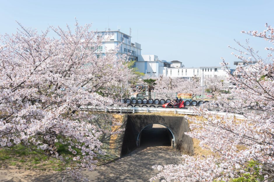 ゴーカートにSL、桜並木も！比島交通公園の魅力をまるっと紹介