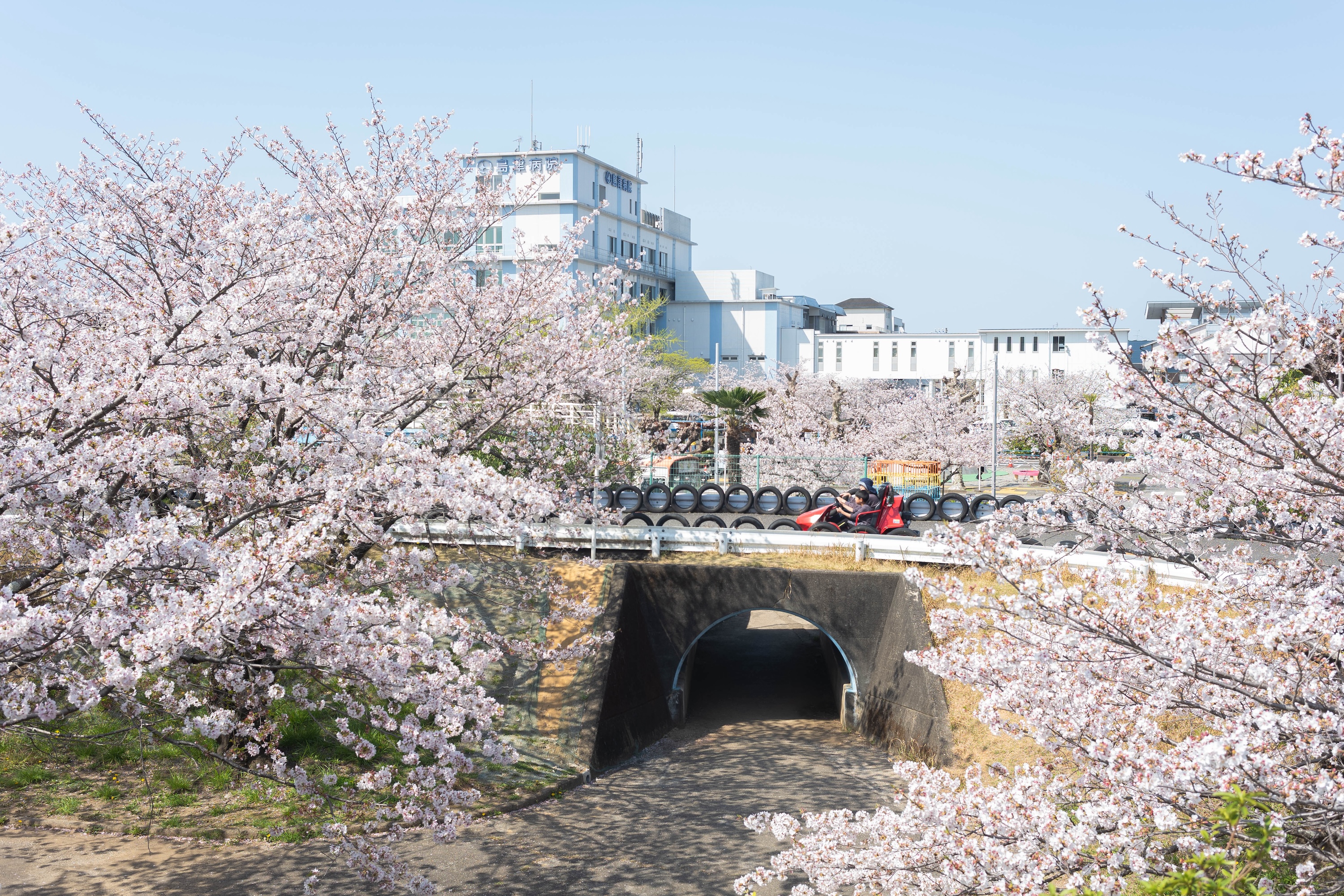 ゴーカートにSL、桜並木も!比島交通公園の魅力をまるっと紹介