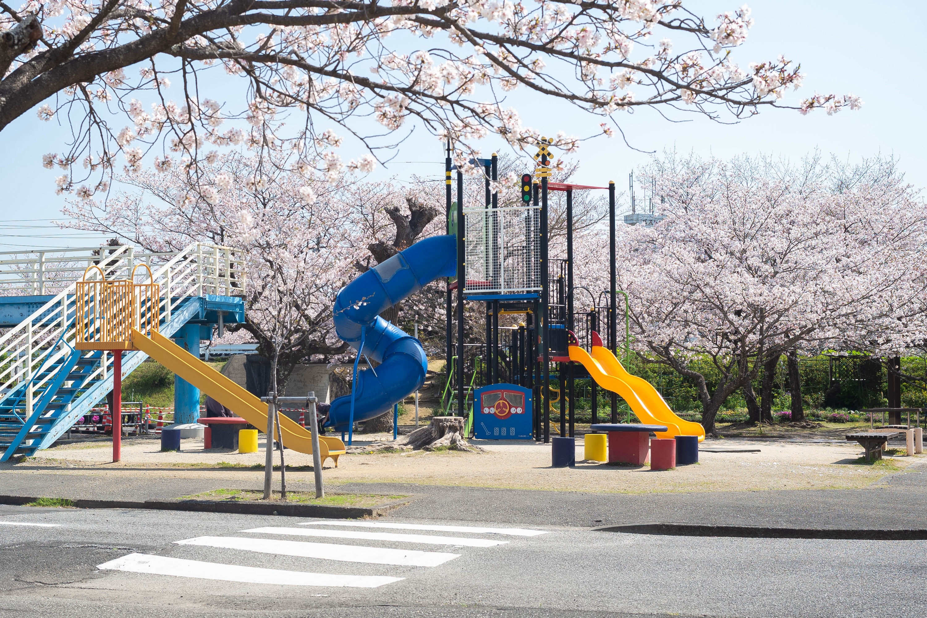 ゴーカートにSL、桜並木も!比島交通公園の魅力をまるっと紹介