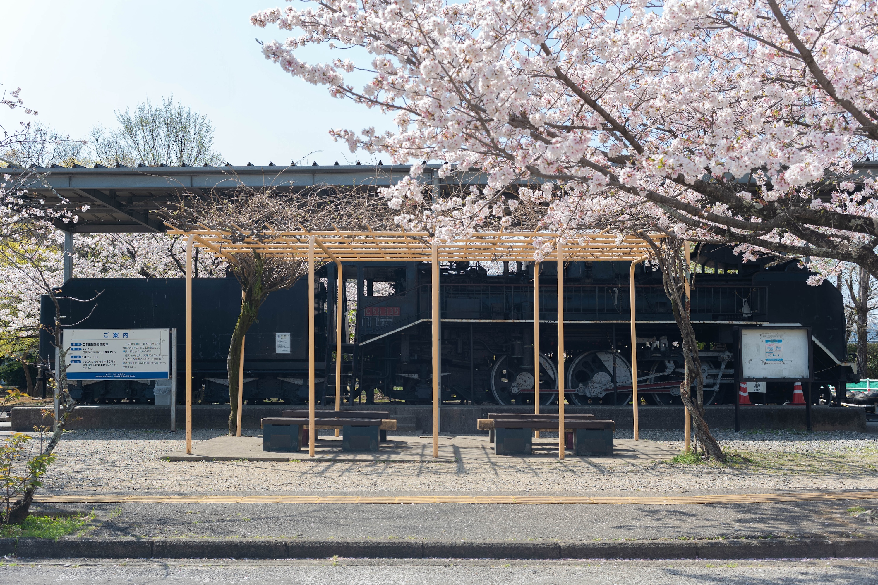 ゴーカートにSL、桜並木も!比島交通公園の魅力をまるっと紹介