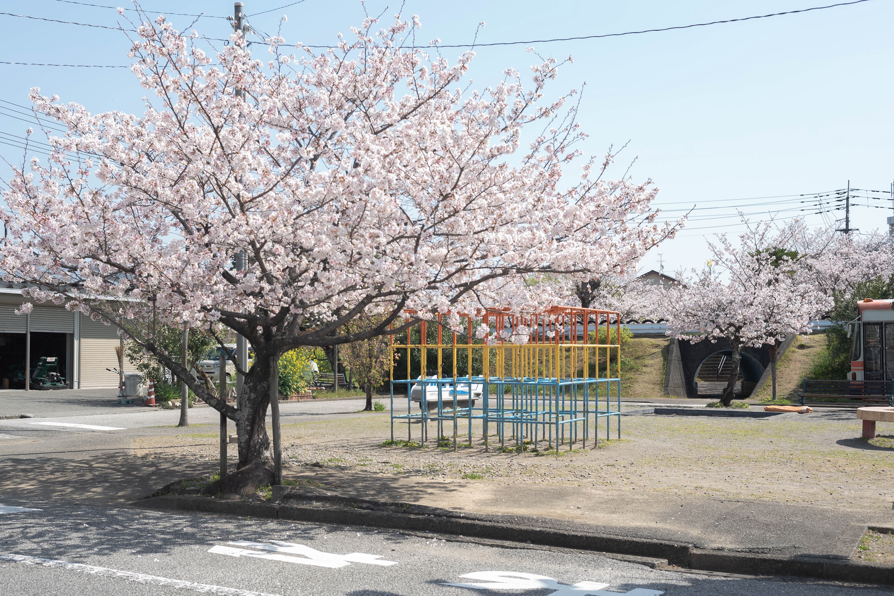 ゴーカートにSL、桜並木も!比島交通公園の魅力をまるっと紹介
