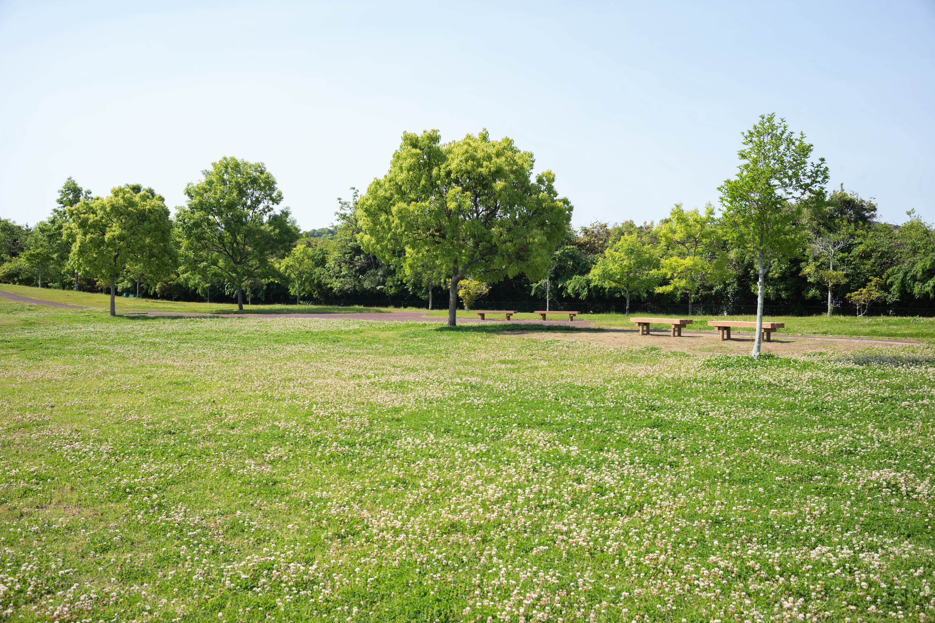 エコ・パーク宇賀（うか）｜自然の中でのびのび遊べる、高知市の憩いの場