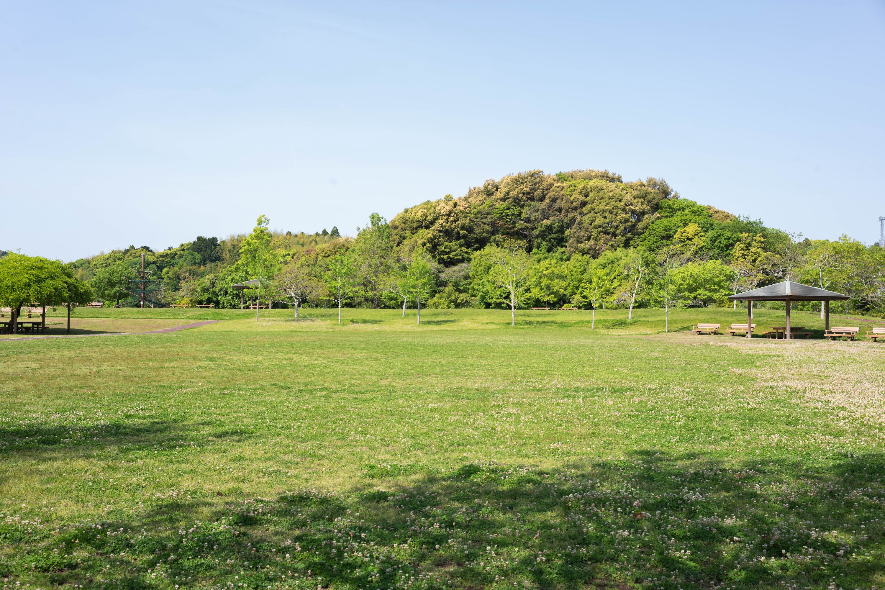 エコ・パーク宇賀（うか）｜自然の中でのびのび遊べる、高知市の憩いの場