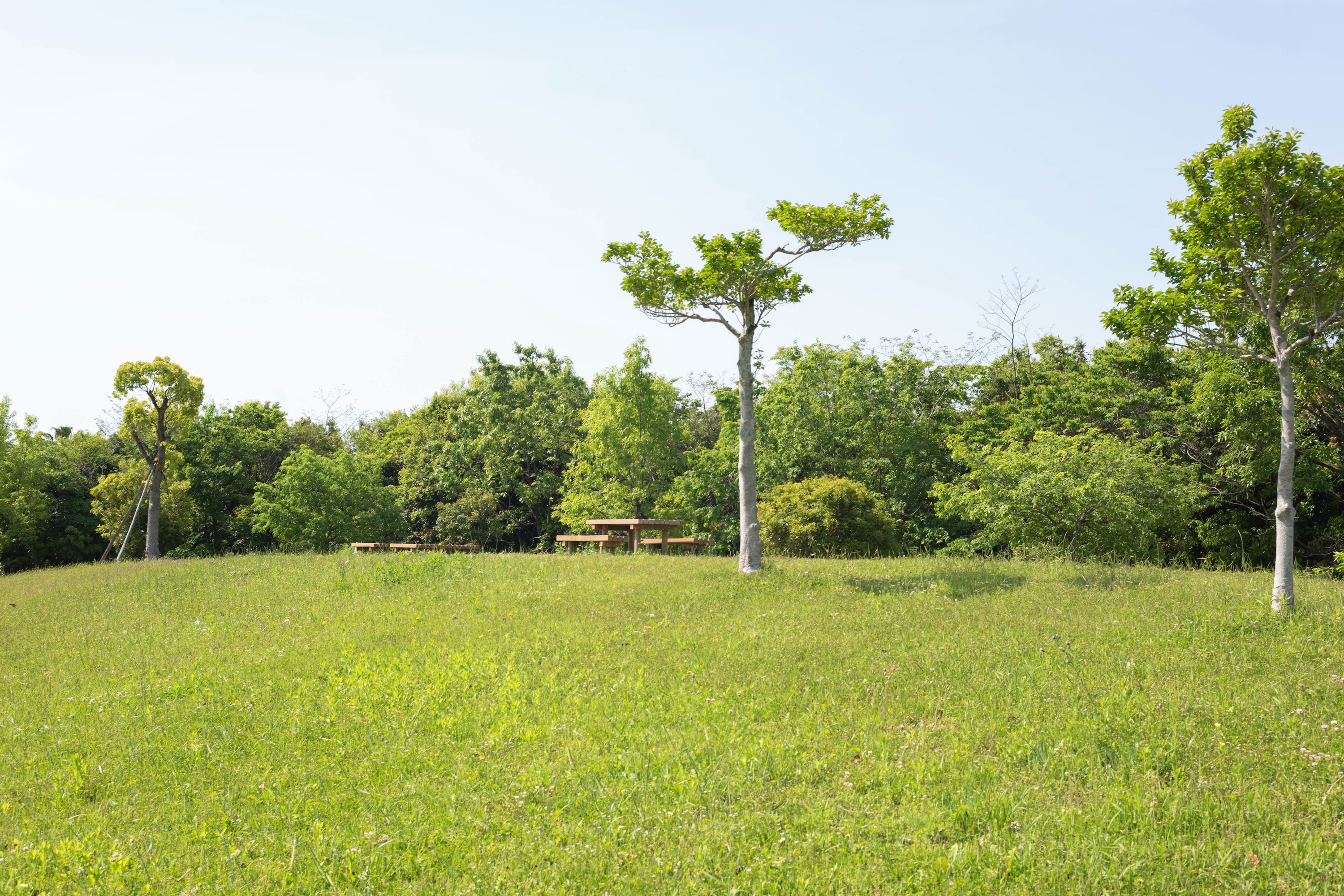 エコ・パーク宇賀（うか）｜自然の中でのびのび遊べる、高知市の憩いの場