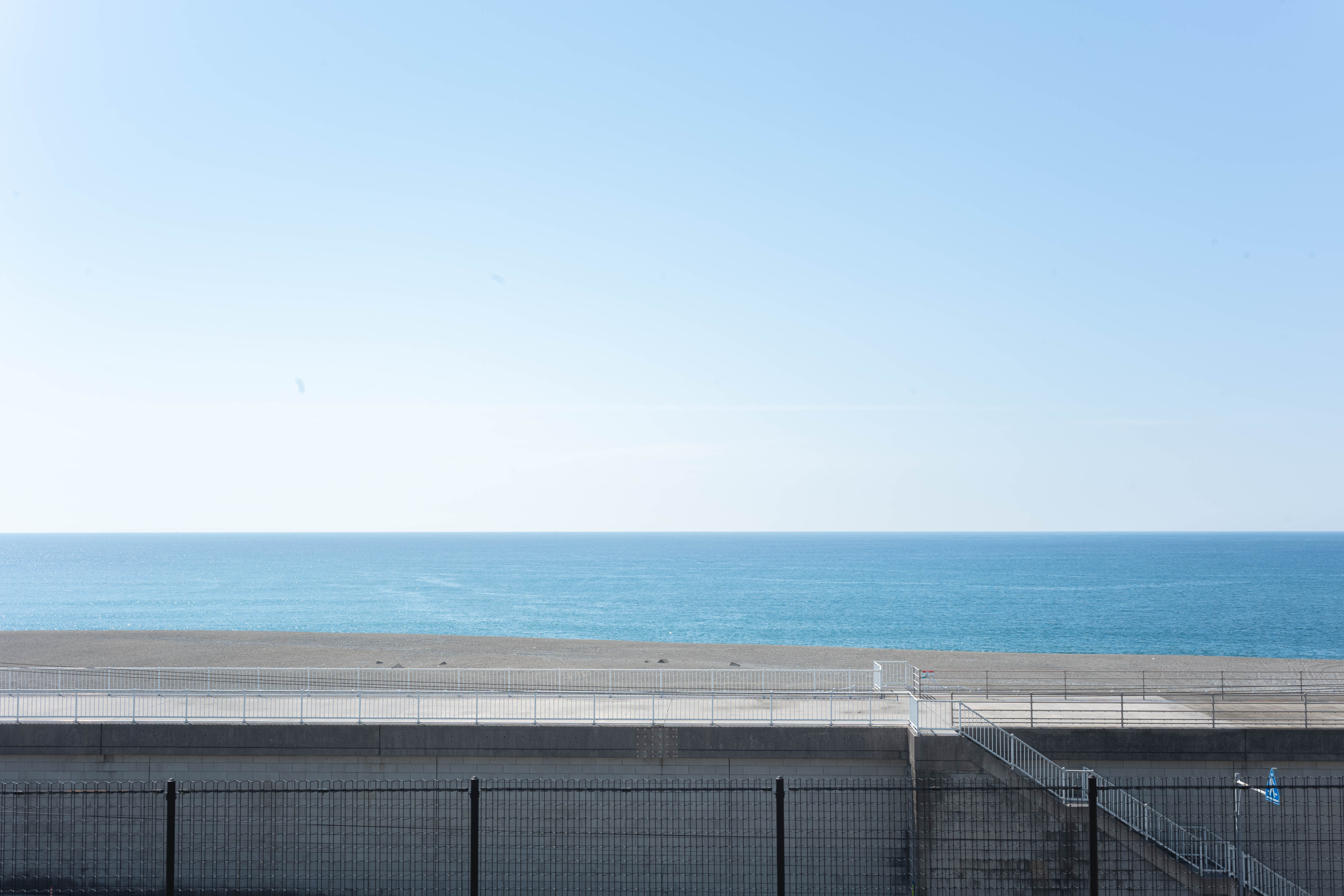 新居緑地公園|太平洋を一望!南国ムード漂う緑地公園