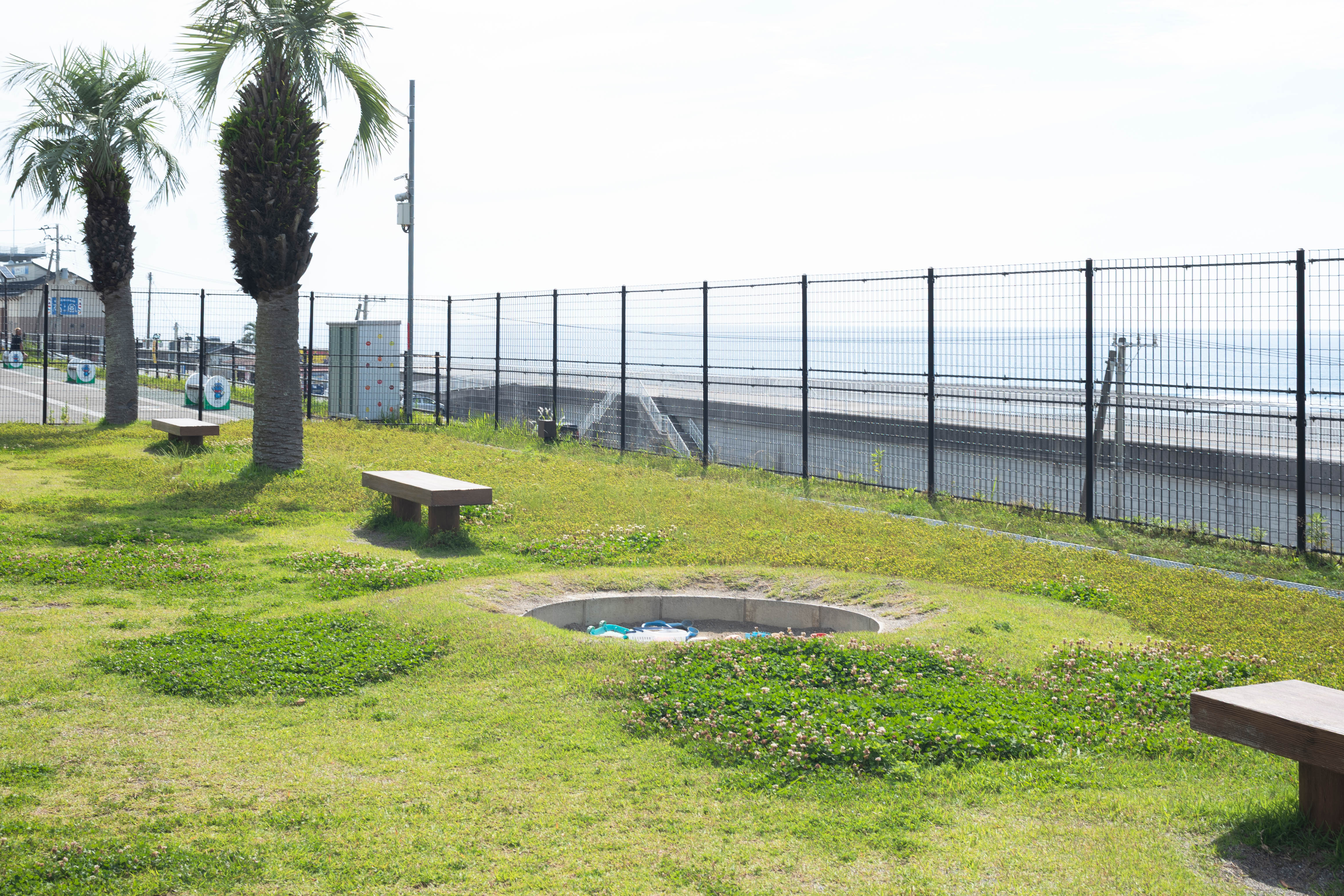 新居緑地公園|太平洋を一望!南国ムード漂う緑地公園