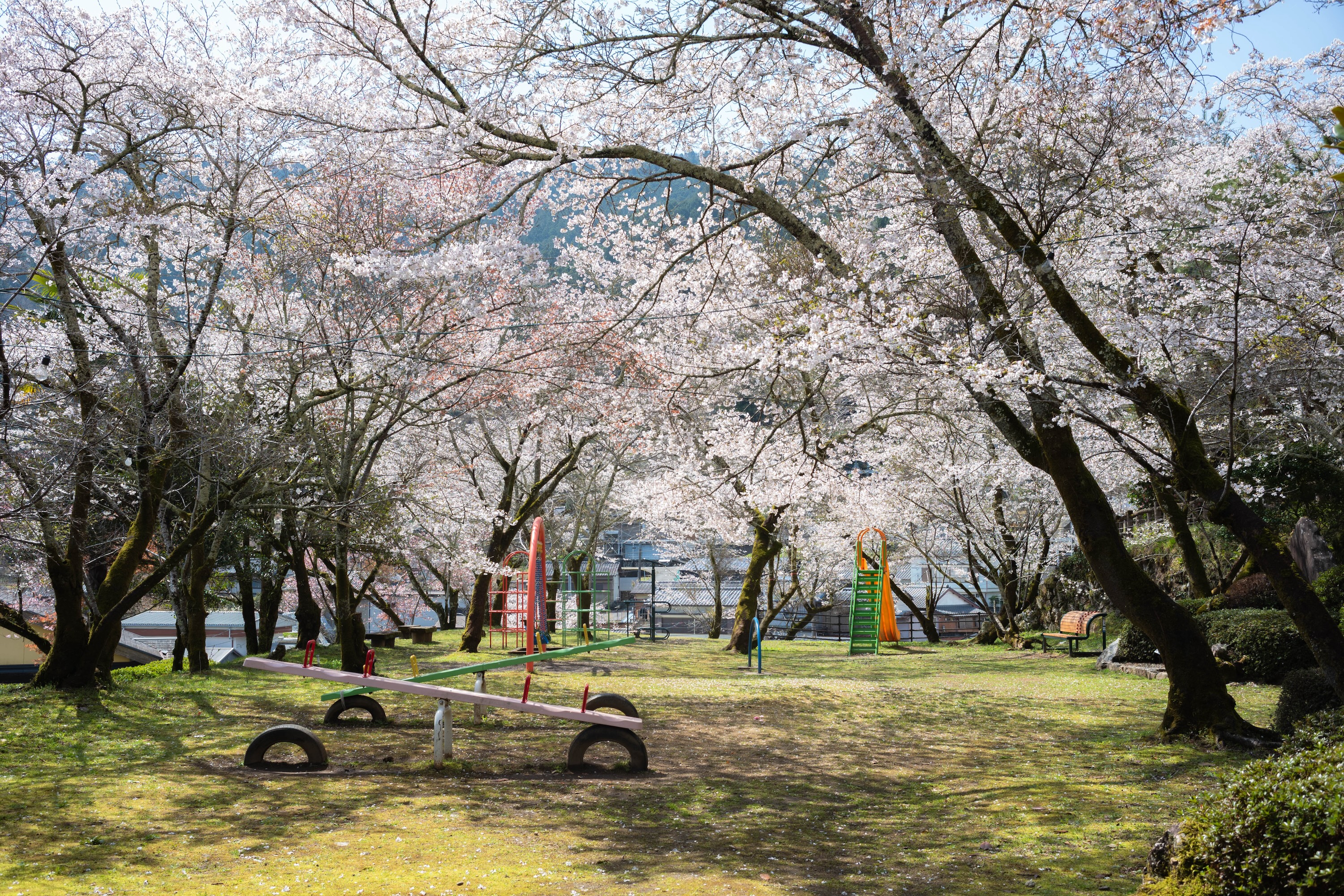 上街公園（土居屋敷跡）｜桜に包まれる幻想的な公園。歴史の面影を感じる穴場スポット