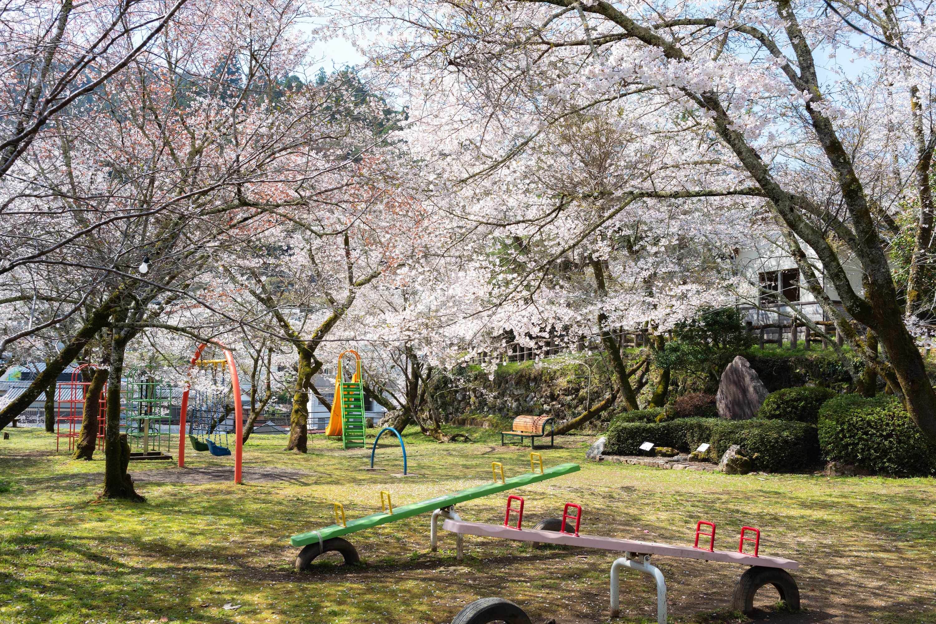 上街公園（土居屋敷跡）｜桜に包まれる幻想的な公園。歴史の面影を感じる穴場スポット