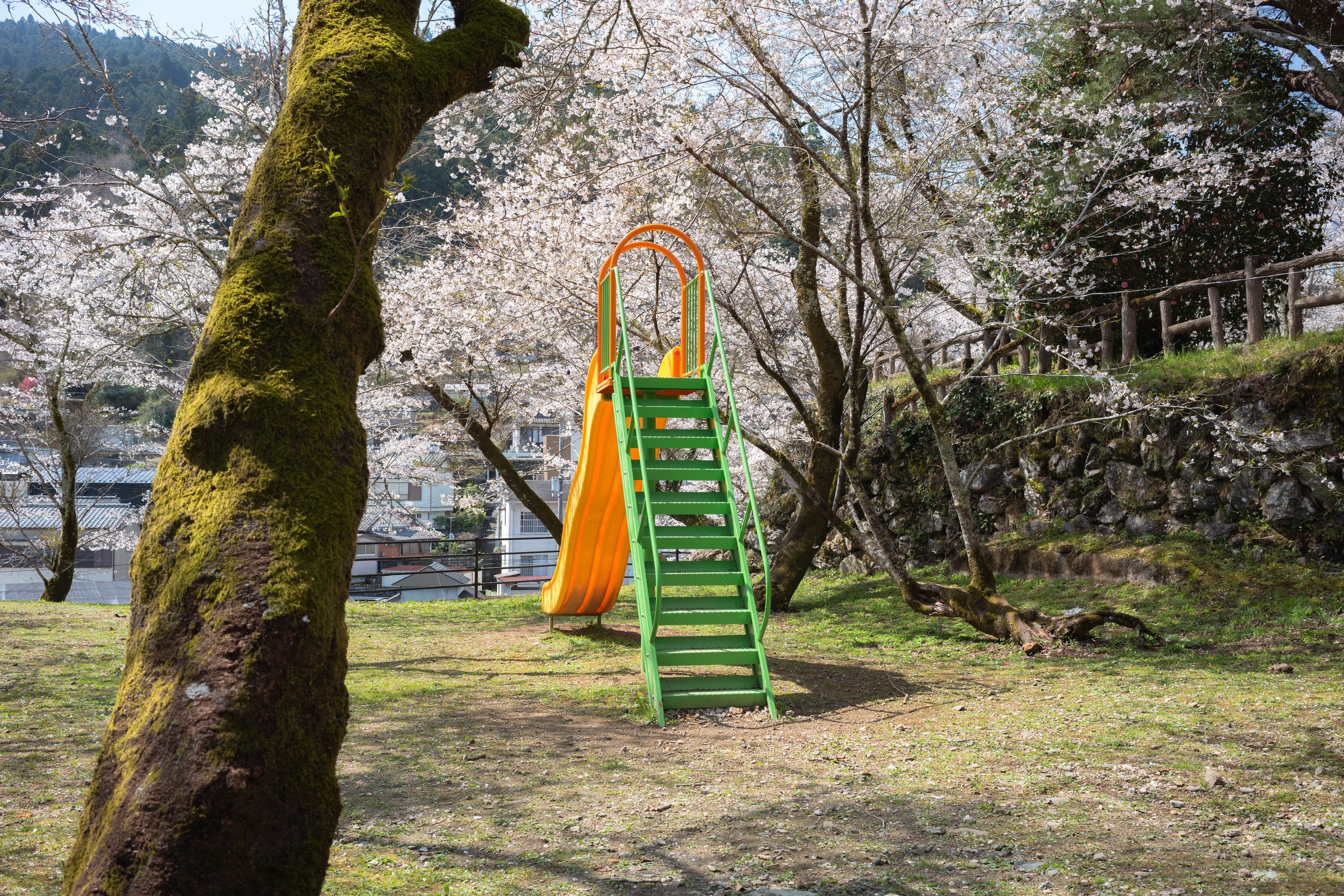 上街公園（土居屋敷跡）｜桜に包まれる幻想的な公園。歴史の面影を感じる穴場スポット