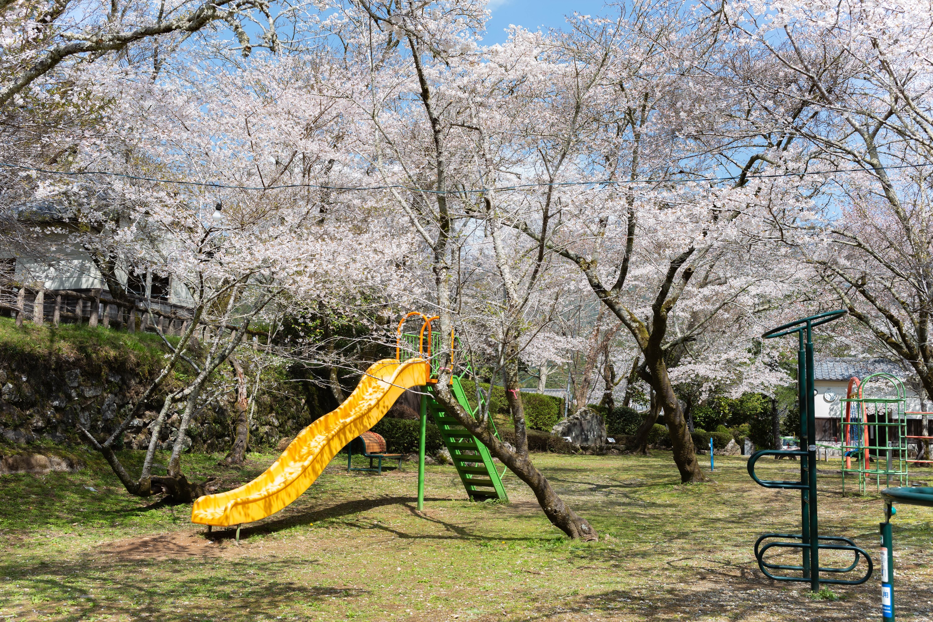 上街公園（土居屋敷跡）｜桜に包まれる幻想的な公園。歴史の面影を感じる穴場スポット