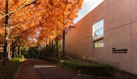 横倉山自然の森博物館｜メタセコイアと安藤建築。森に佇むアートのような博物館