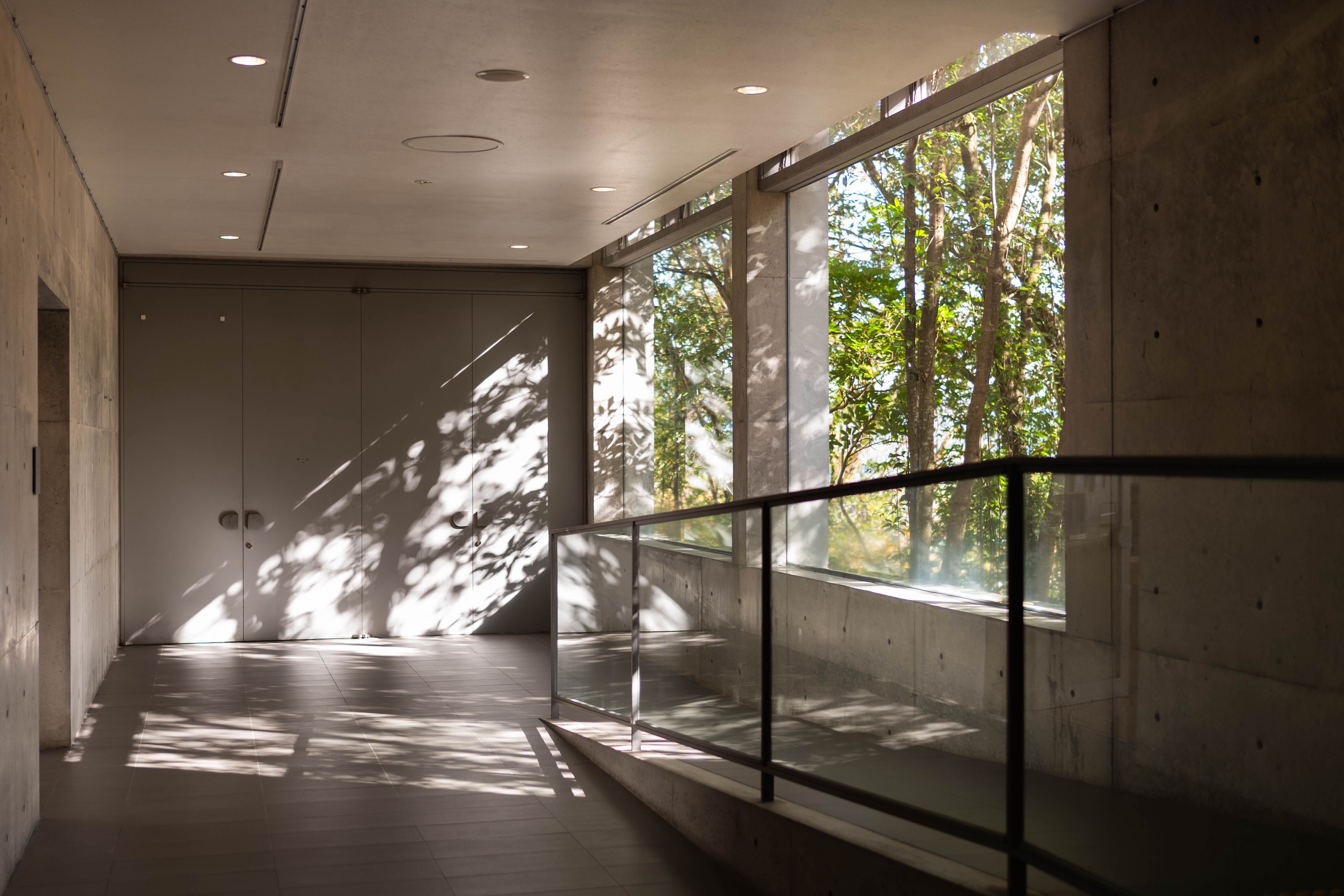 横倉山自然の森博物館｜メタセコイアと安藤建築。森に佇むアートのような博物館