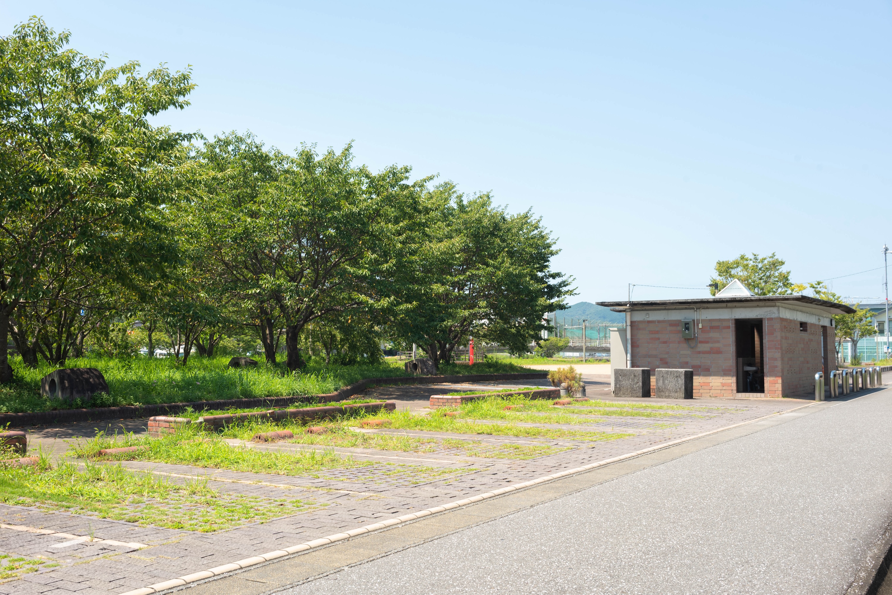 枝川公園｜春は桜、夏は水遊び！家族でのびのび遊べる憩いのスポット
