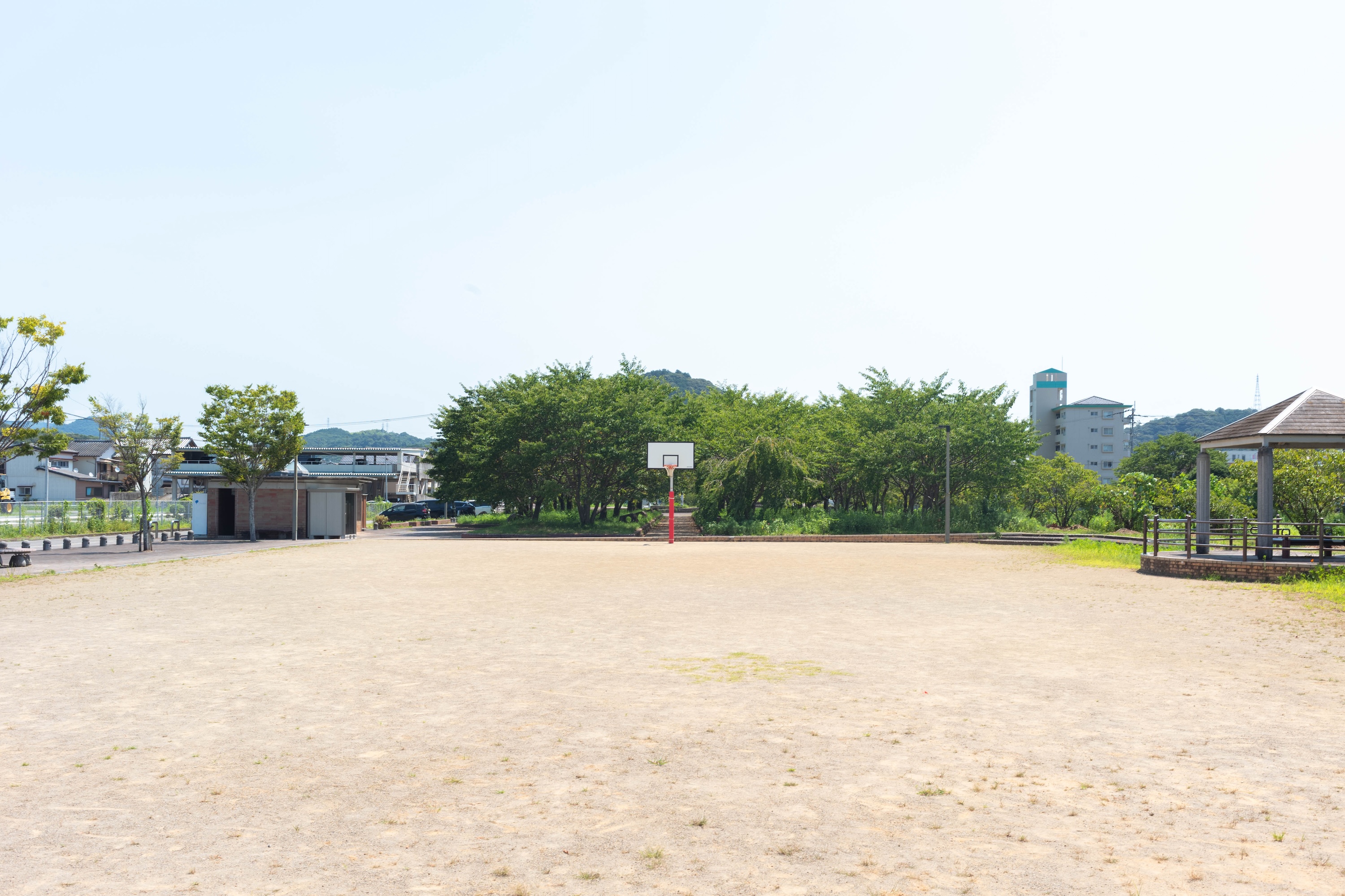 枝川公園｜春は桜、夏は水遊び！家族でのびのび遊べる憩いのスポット