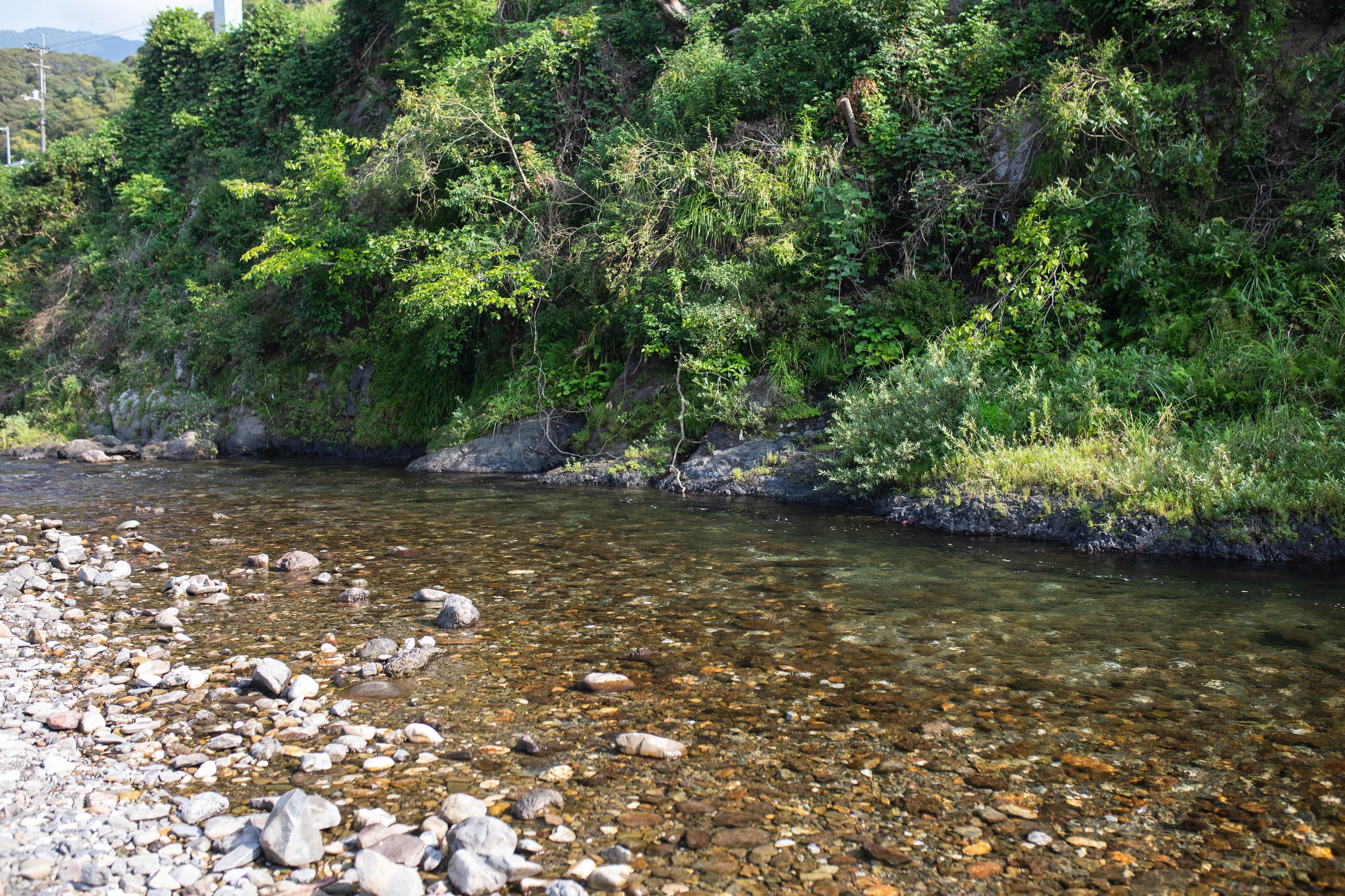 かわうそ自然公園｜川と芝生でのんびり遊べる津野町の憩いスポット