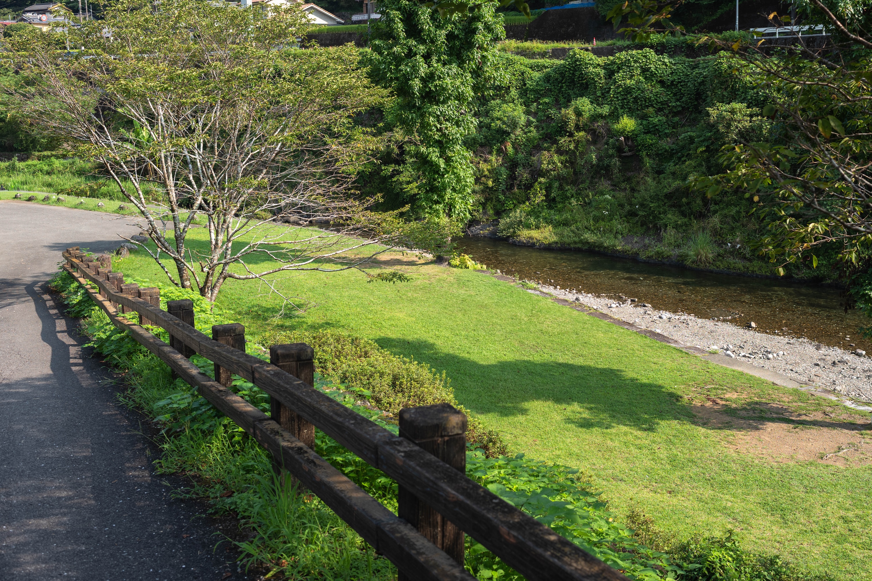かわうそ自然公園｜川と芝生でのんびり遊べる津野町の憩いスポット