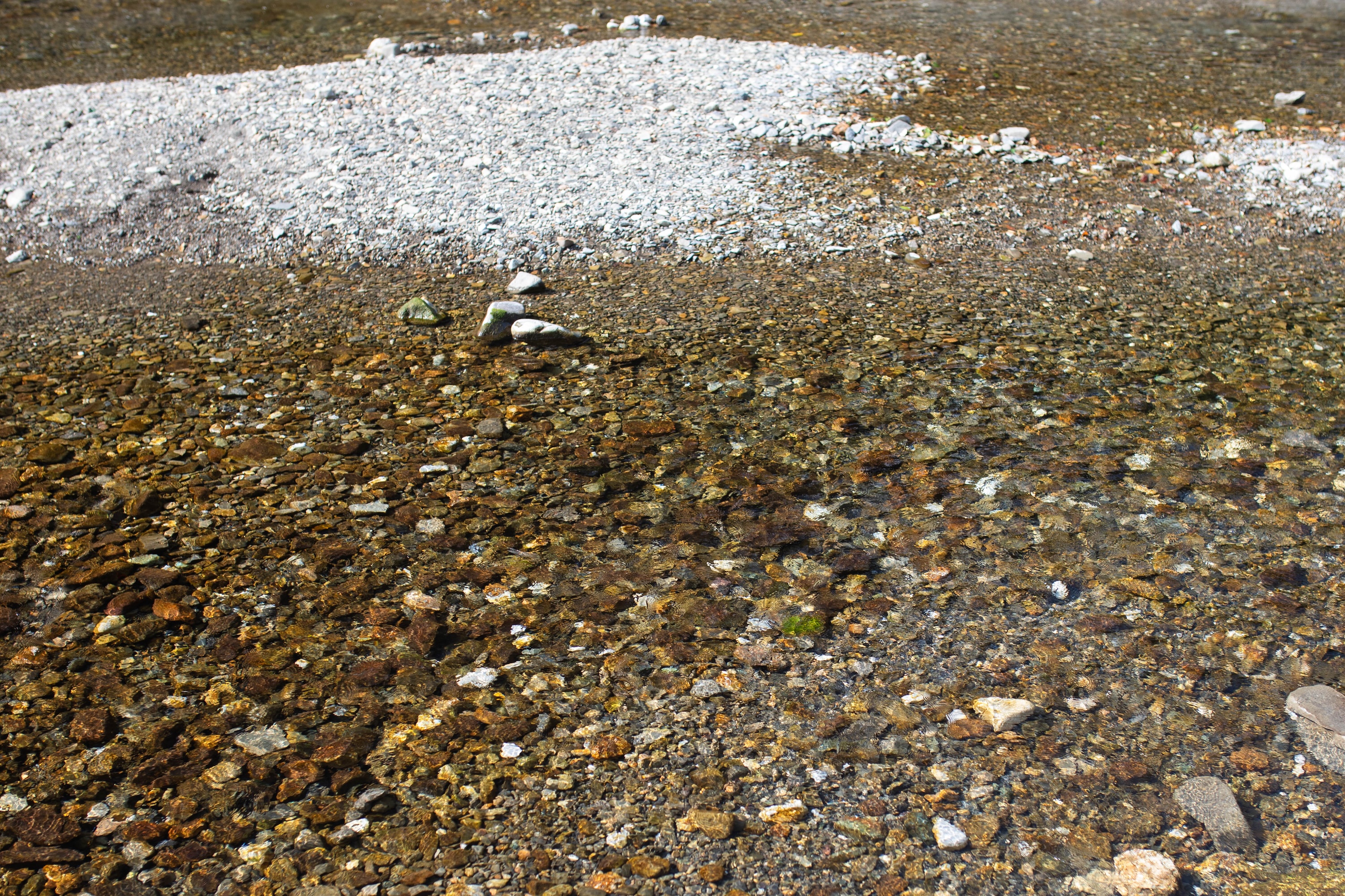桑ノ川わんぱく河川プール｜自然の中で川遊び！親子で楽しむ夏の思い出スポット
