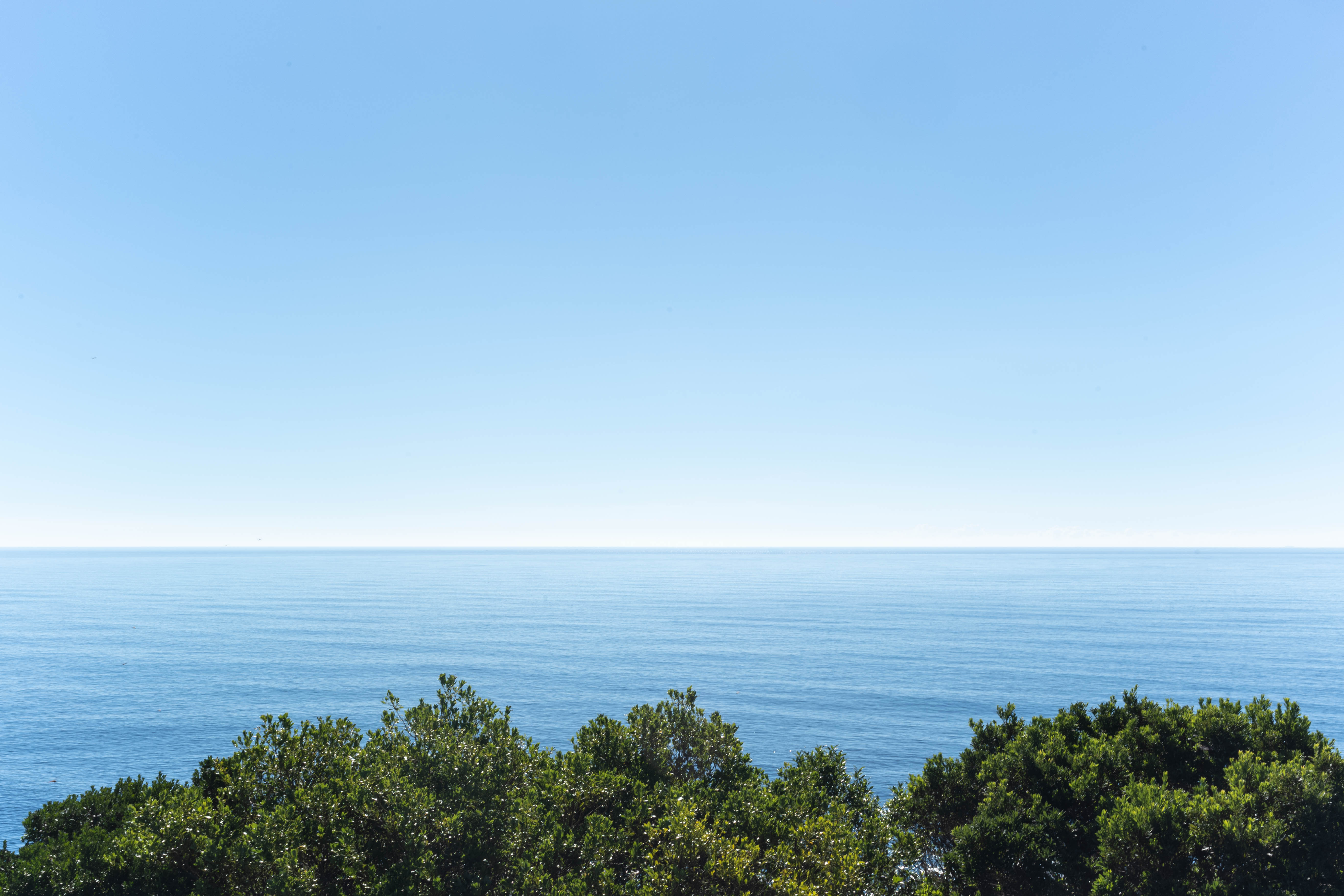道崎展望台｜四万十川の河口と太平洋を一望！宇宙船のような展望スポット