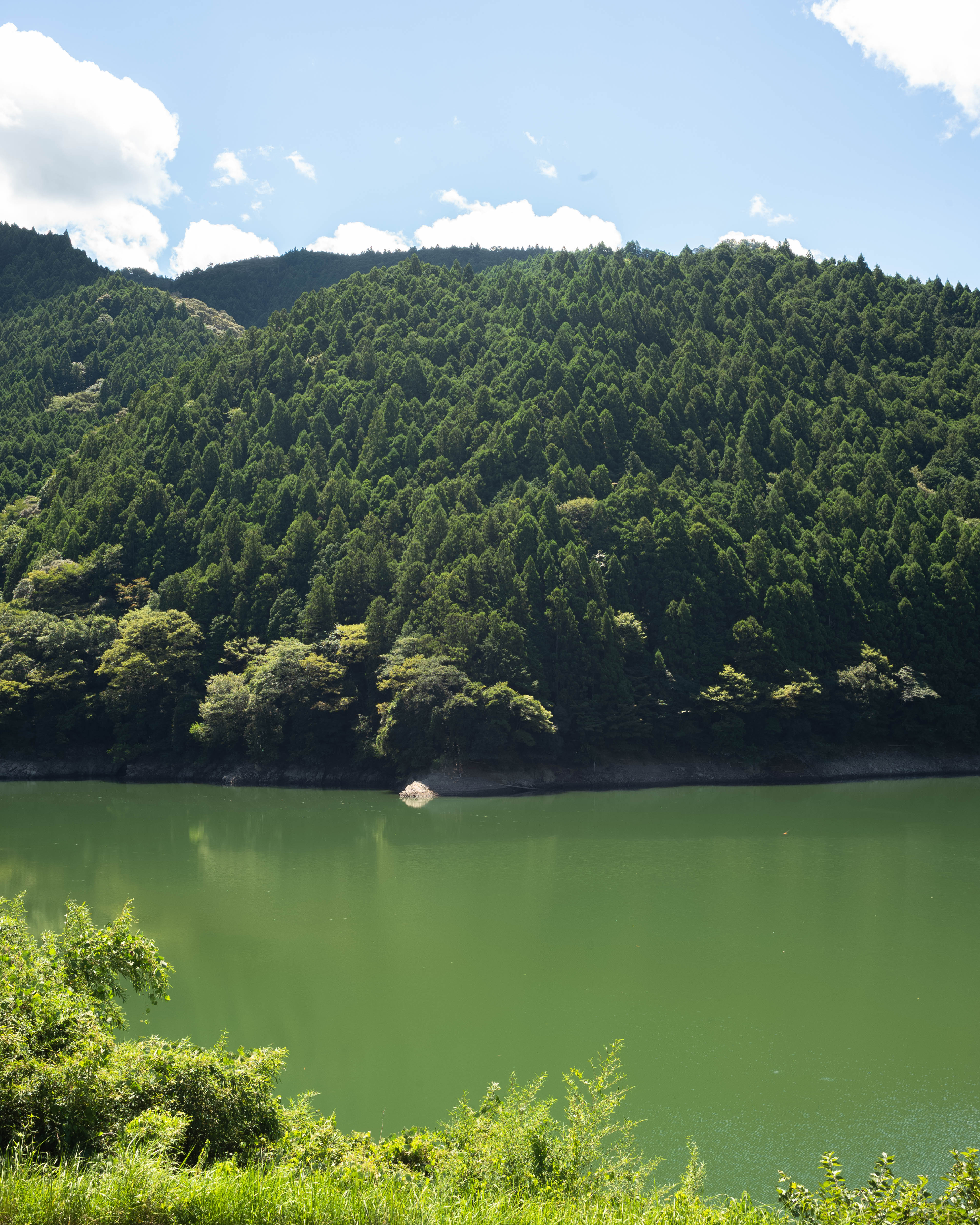 アンソレイユ|物部町の観光拠点!奥物部湖を望むレストラン