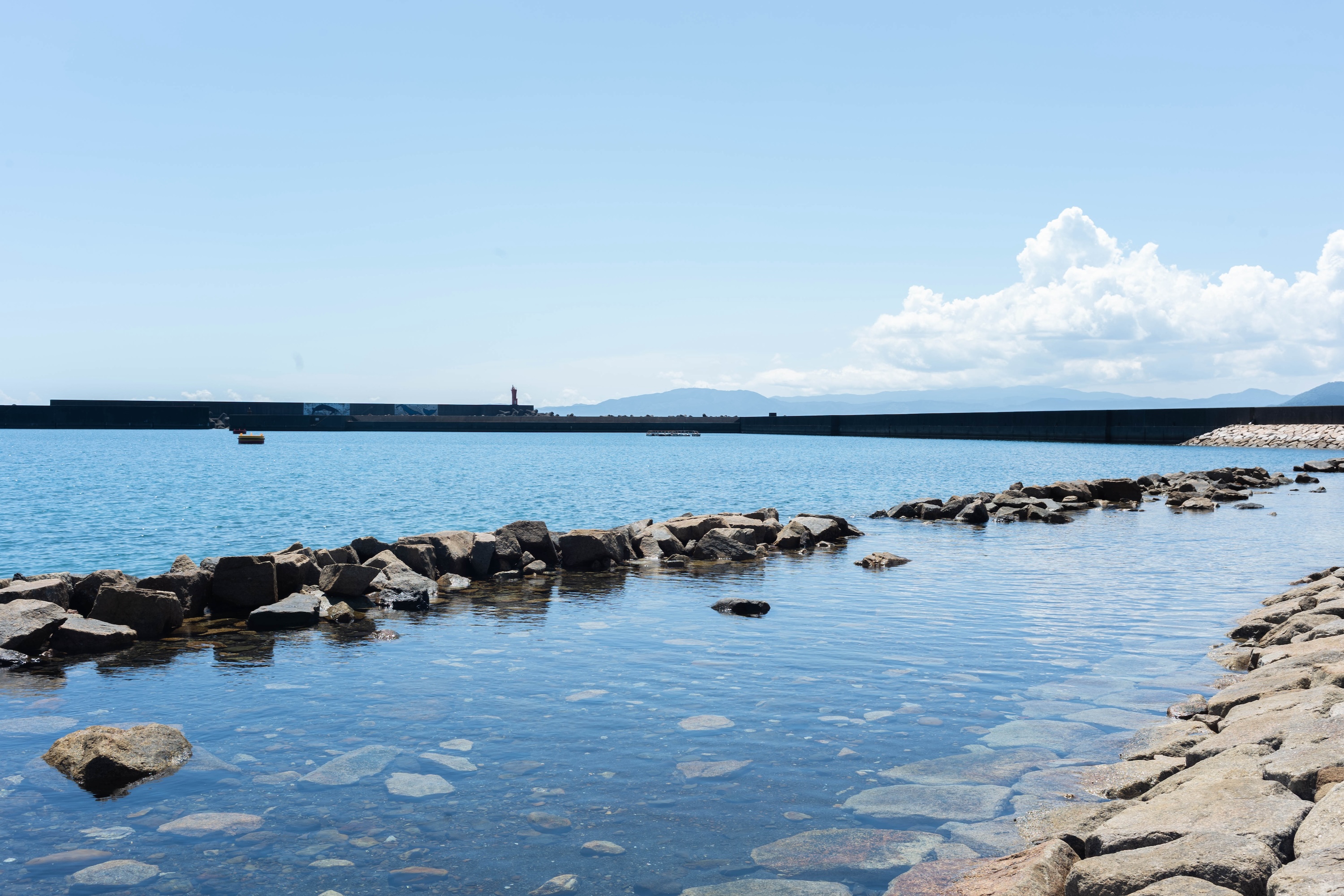 上川口港鯨公園|透明度抜群!海で水遊びを楽しめる黒潮町の穴場スポット