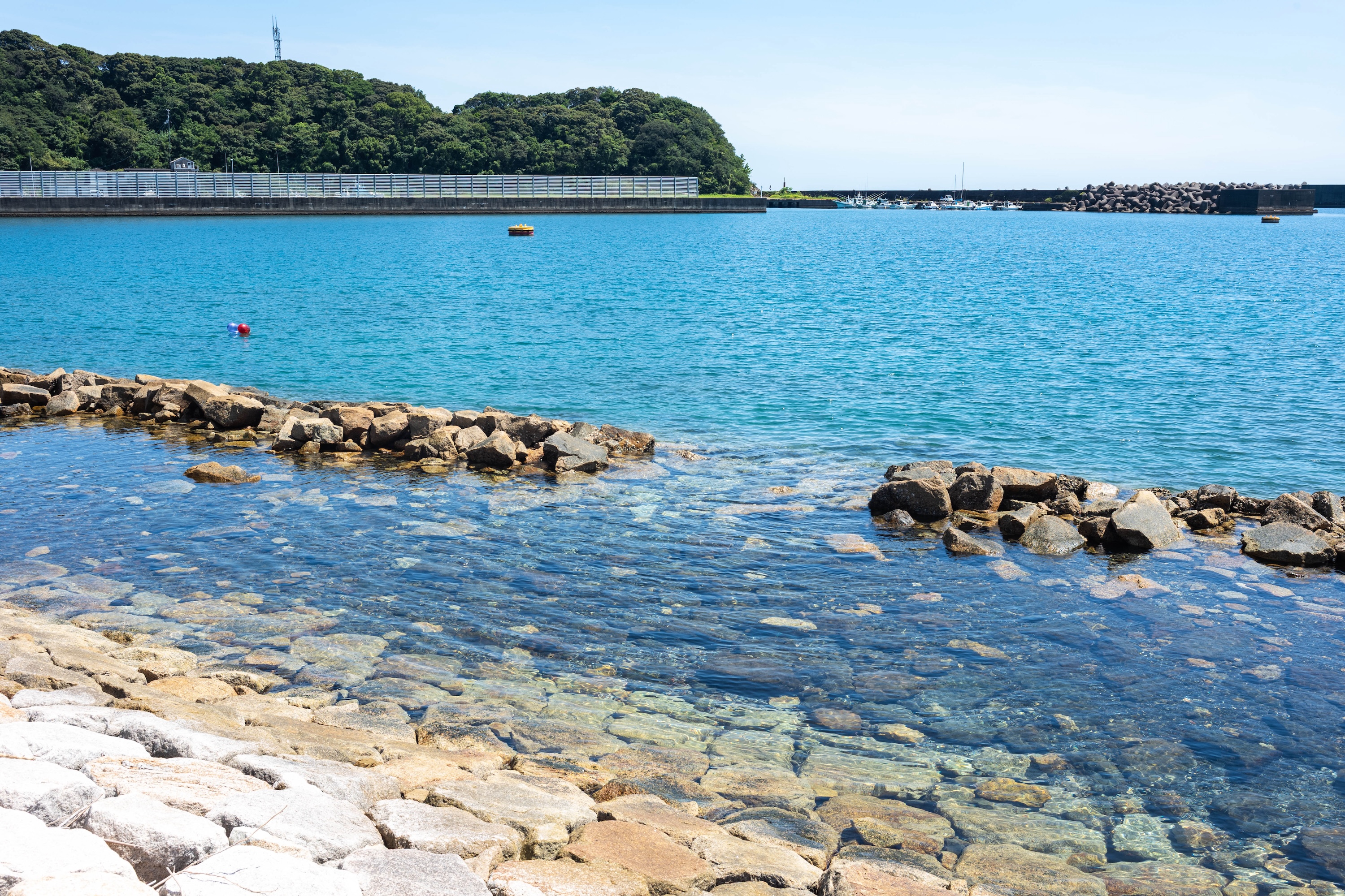 上川口港鯨公園|透明度抜群!海で水遊びを楽しめる黒潮町の穴場スポット