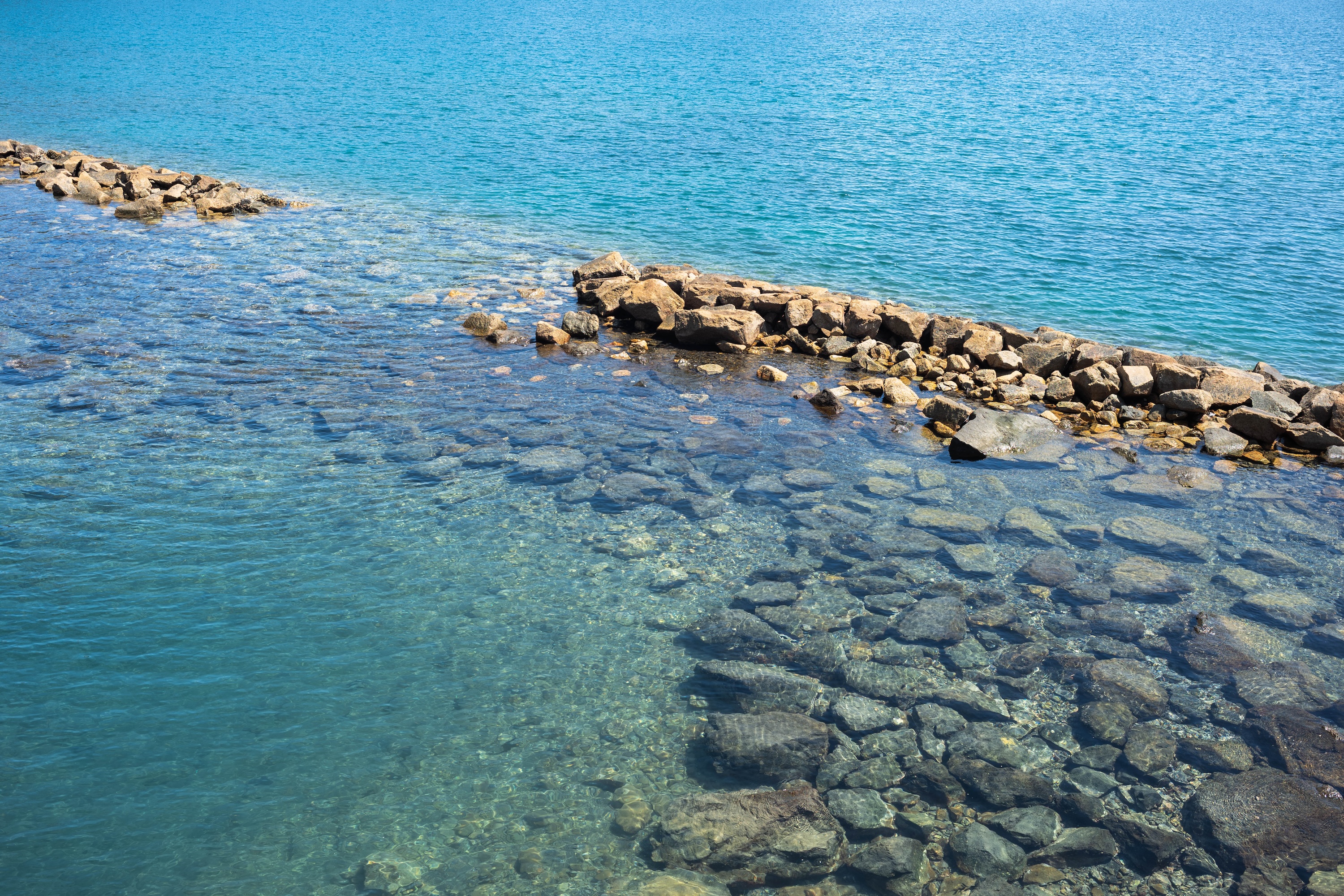 上川口港鯨公園|透明度抜群!海で水遊びを楽しめる黒潮町の穴場スポット