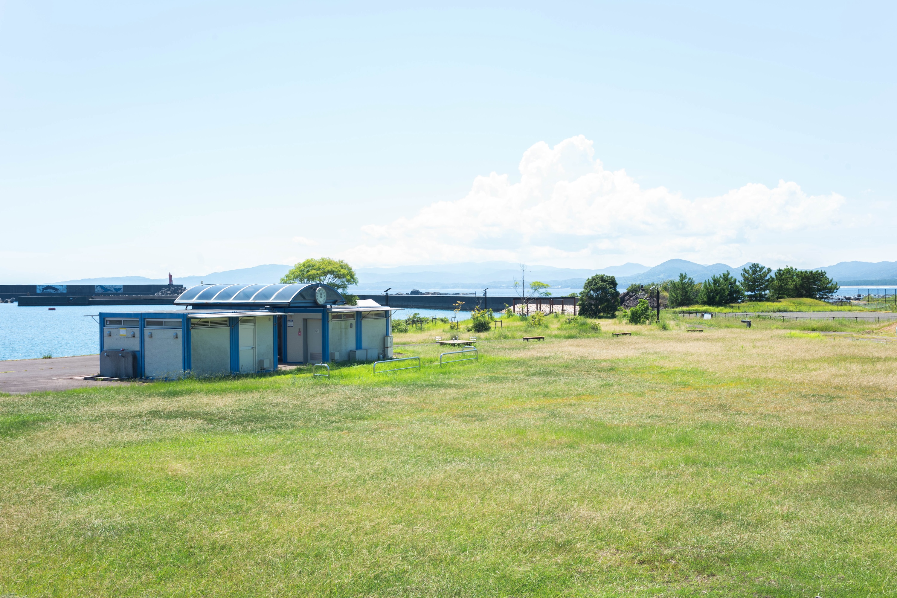 上川口港鯨公園|透明度抜群!海で水遊びを楽しめる黒潮町の穴場スポット